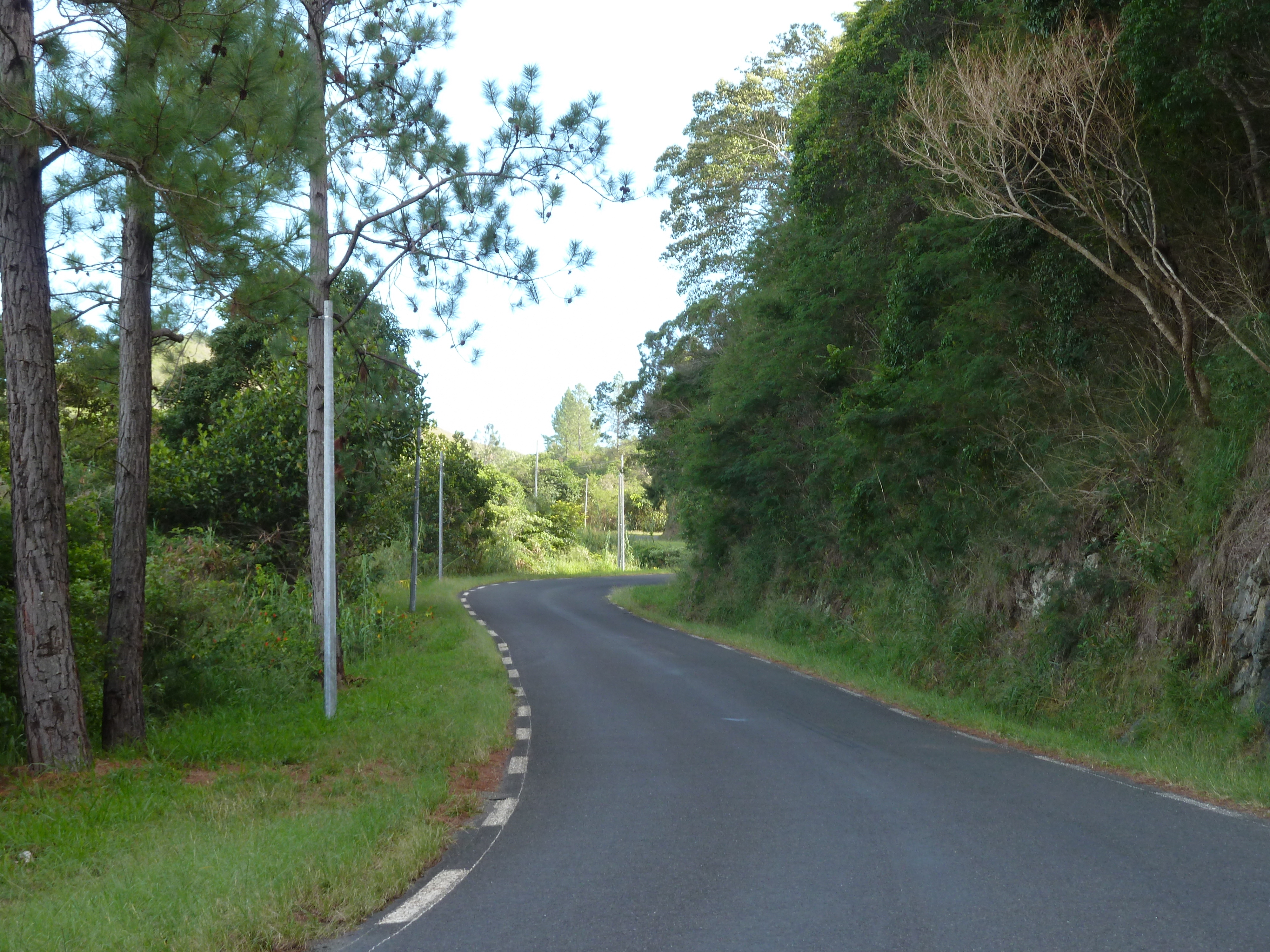 Picture New Caledonia Tontouta to Thio road 2010-05 73 - Discovery Tontouta to Thio road