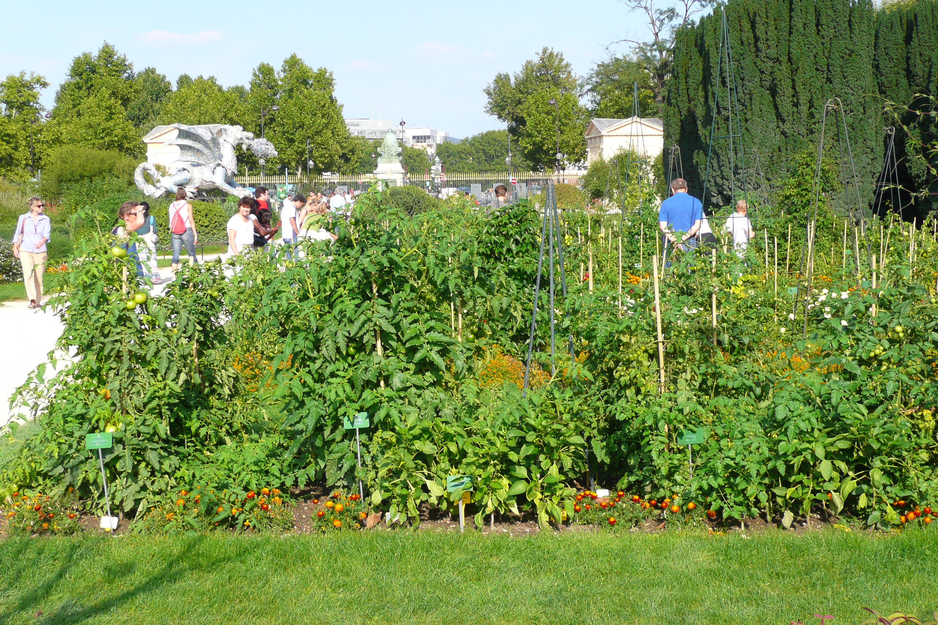 Picture France Paris Jardin des Plantes 2007-08 204 - Tours Jardin des Plantes