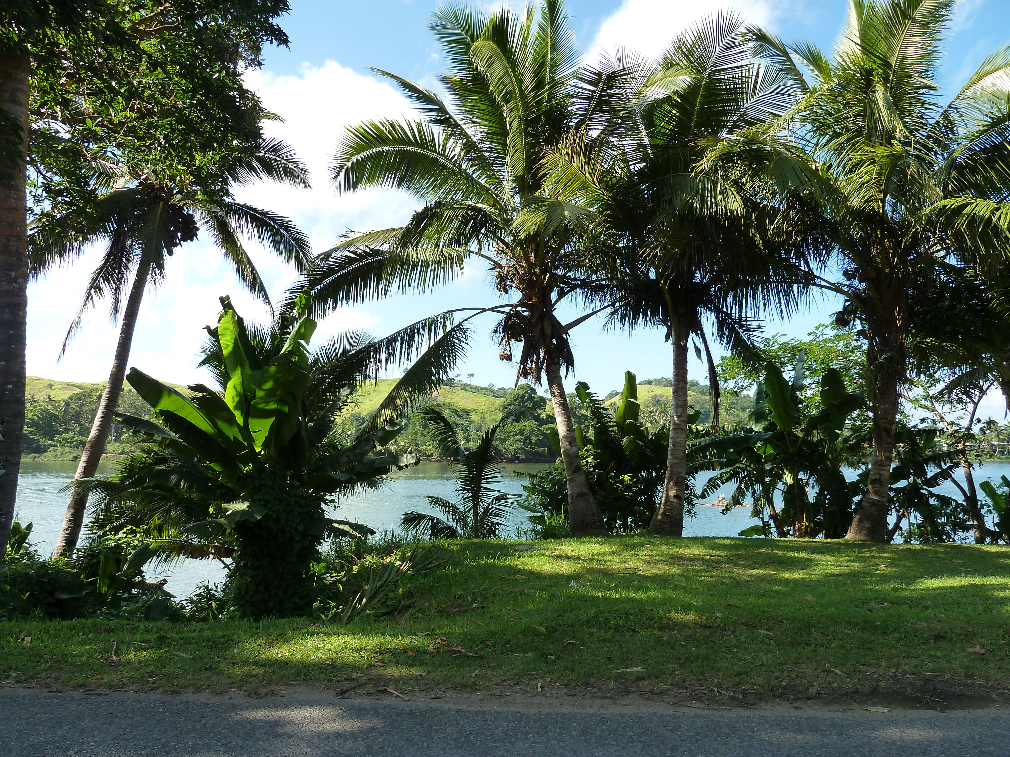 Picture Fiji Sigatoka river 2010-05 49 - Tour Sigatoka river