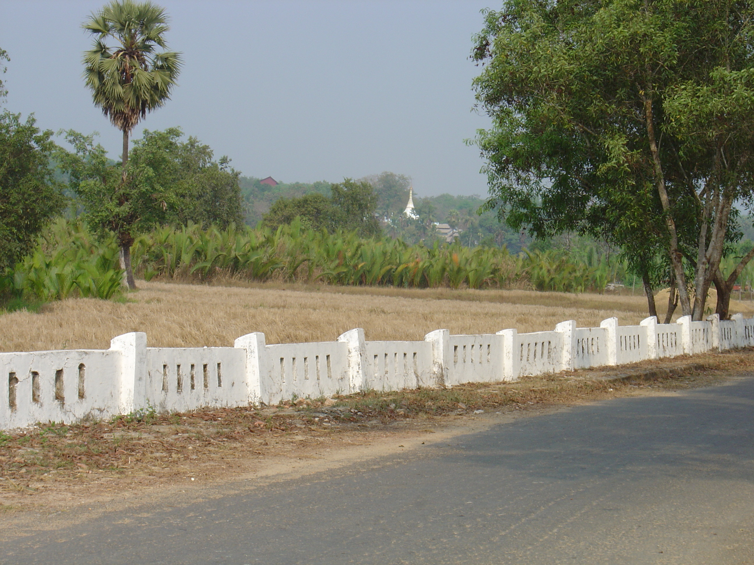 Picture Myanmar Dawei (TAVOY) 2005-01 160 - History Dawei (TAVOY)