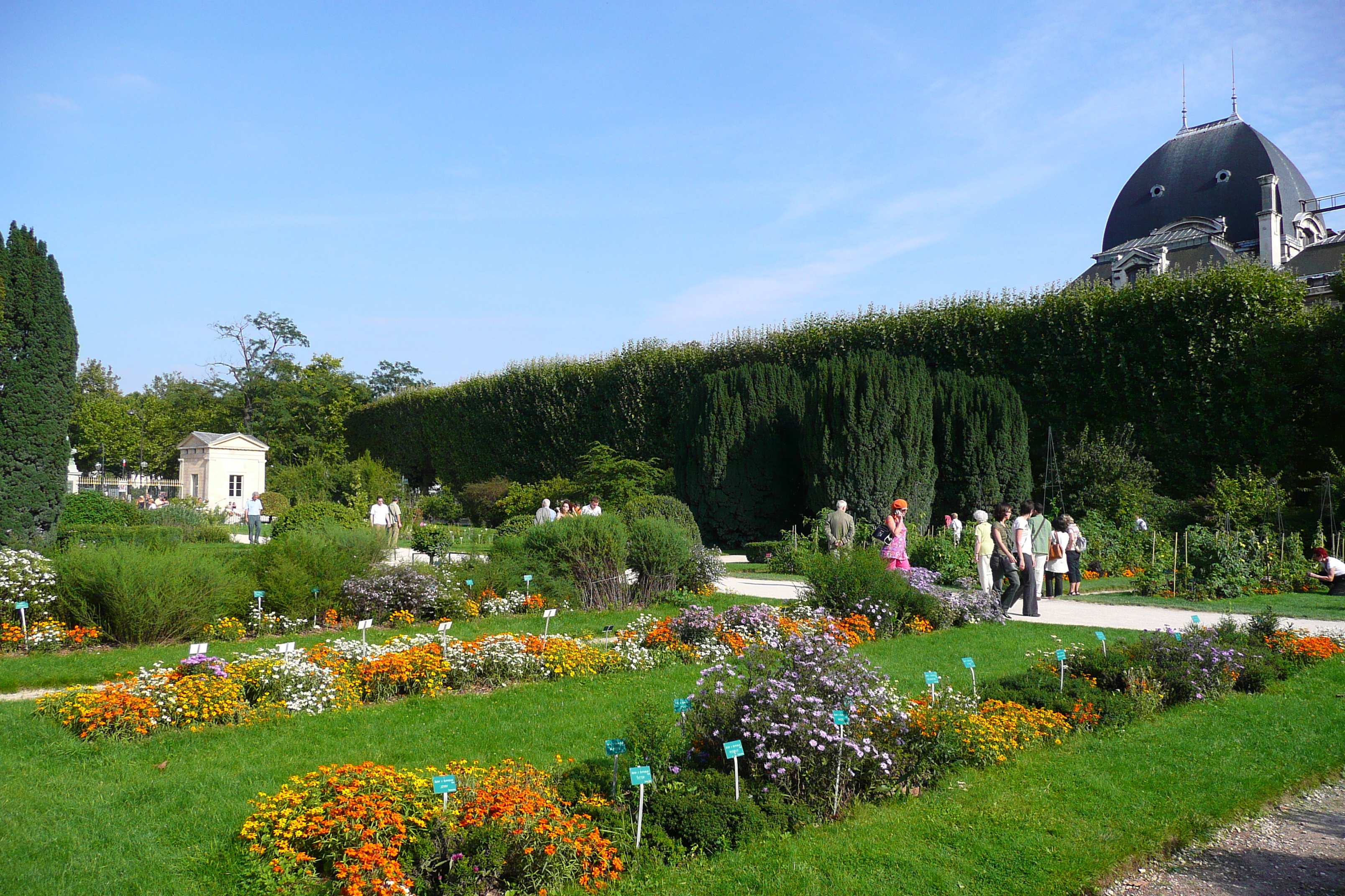 Picture France Paris Jardin des Plantes 2007-08 183 - Discovery Jardin des Plantes