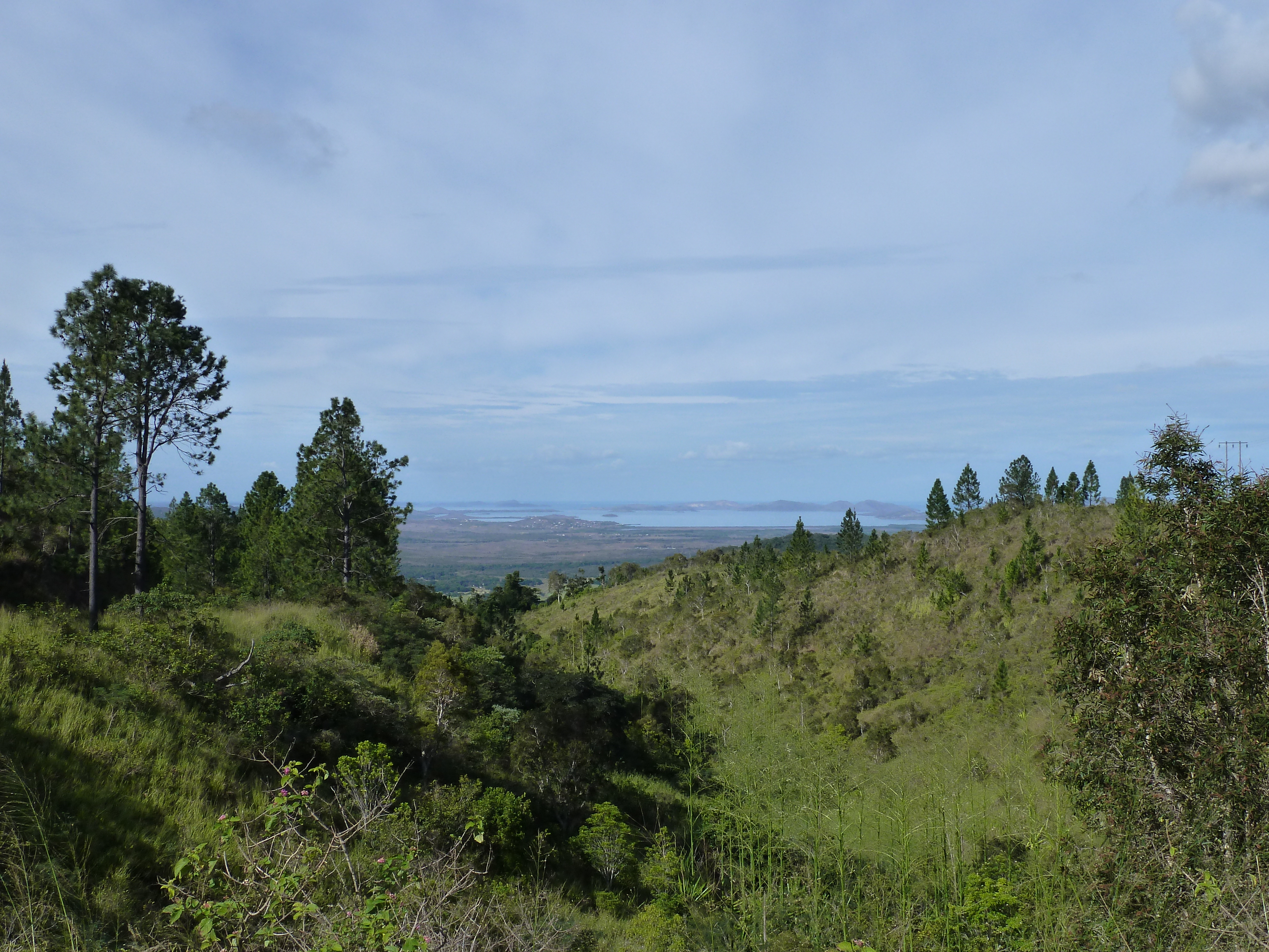 Picture New Caledonia Tontouta to Thio road 2010-05 50 - Discovery Tontouta to Thio road