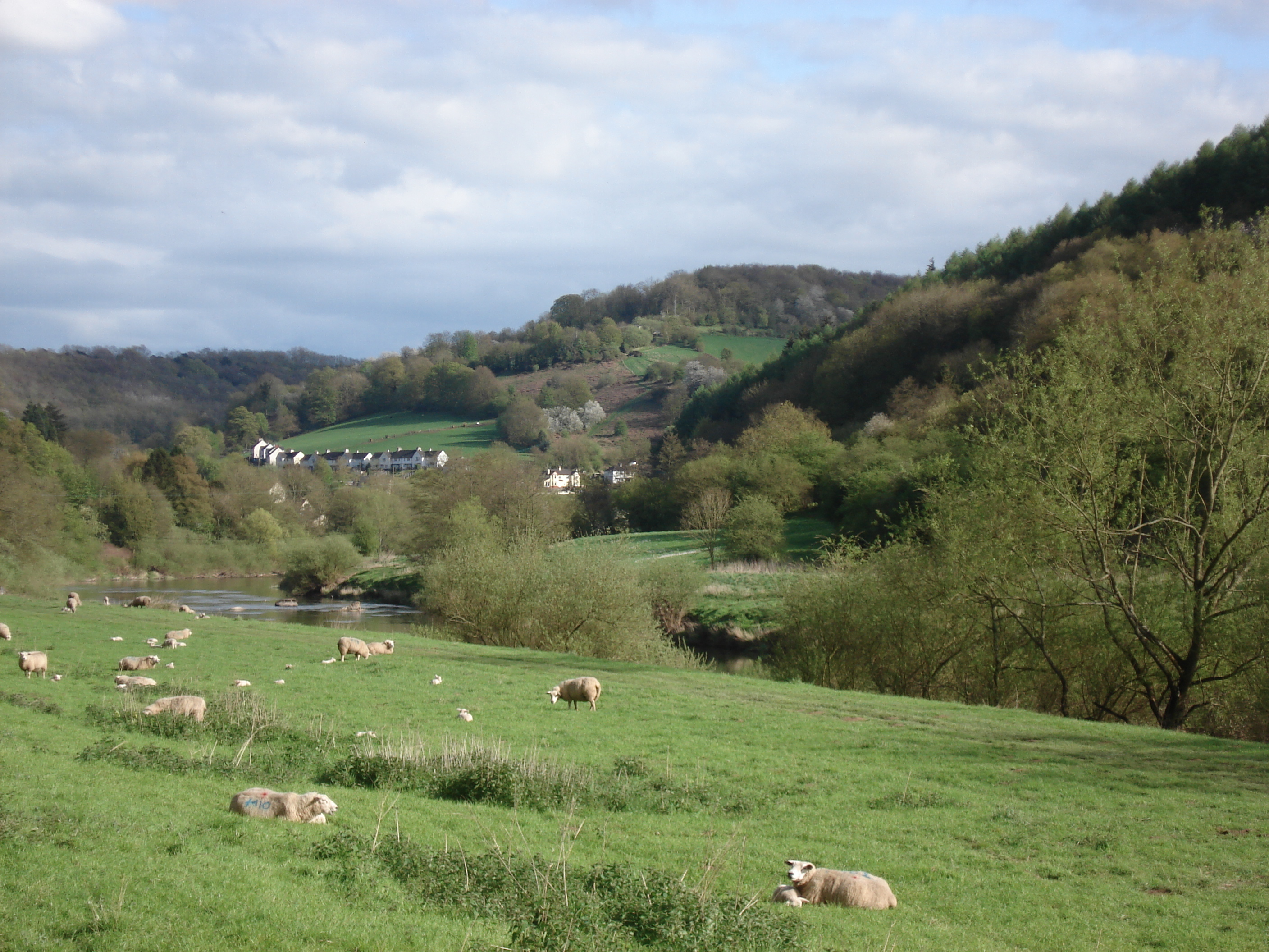 Picture United Kingdom Wye Valey 2006-05 0 - Around Wye Valey