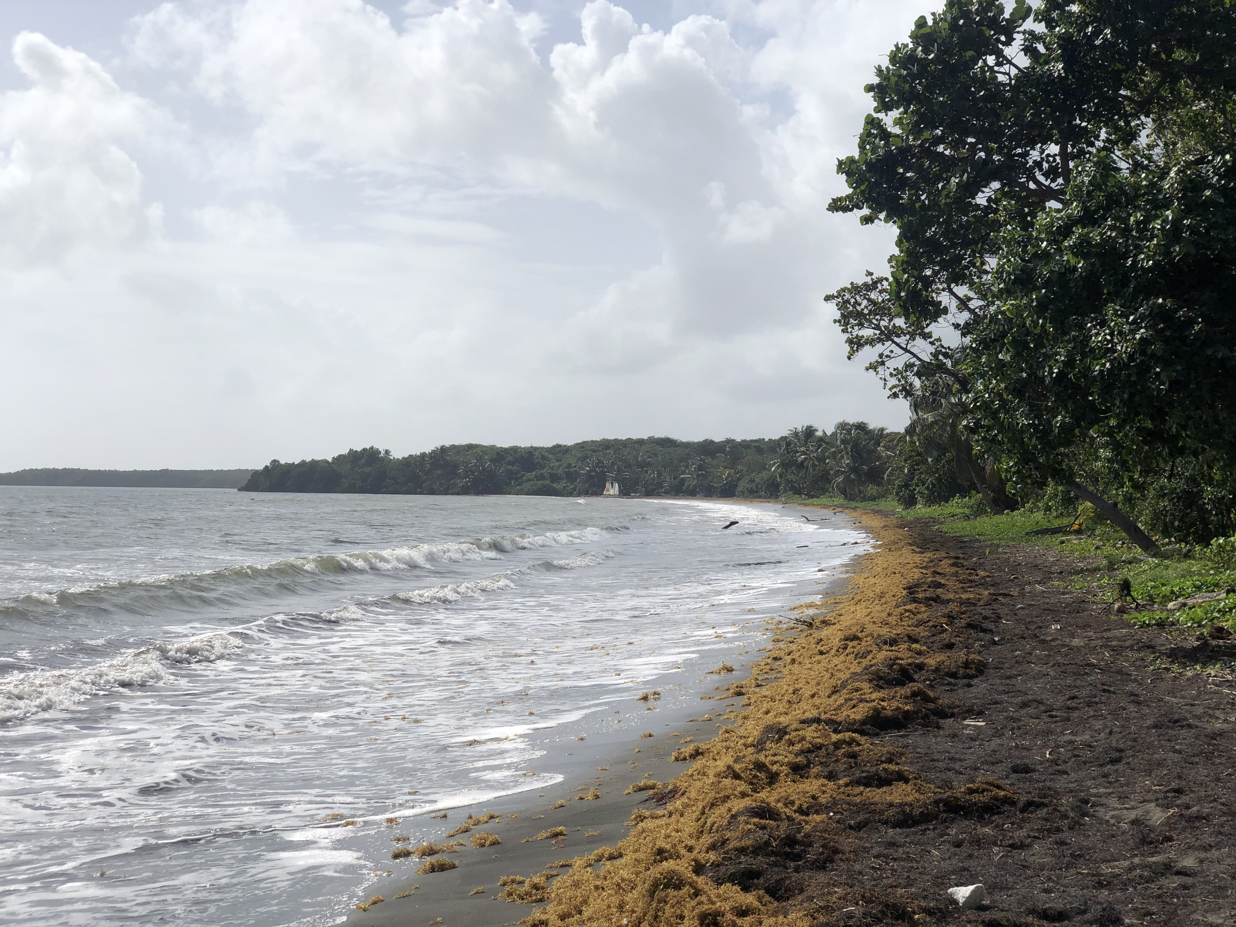 Picture Guadeloupe Viard Beach 2021-02 4 - Recreation Viard Beach