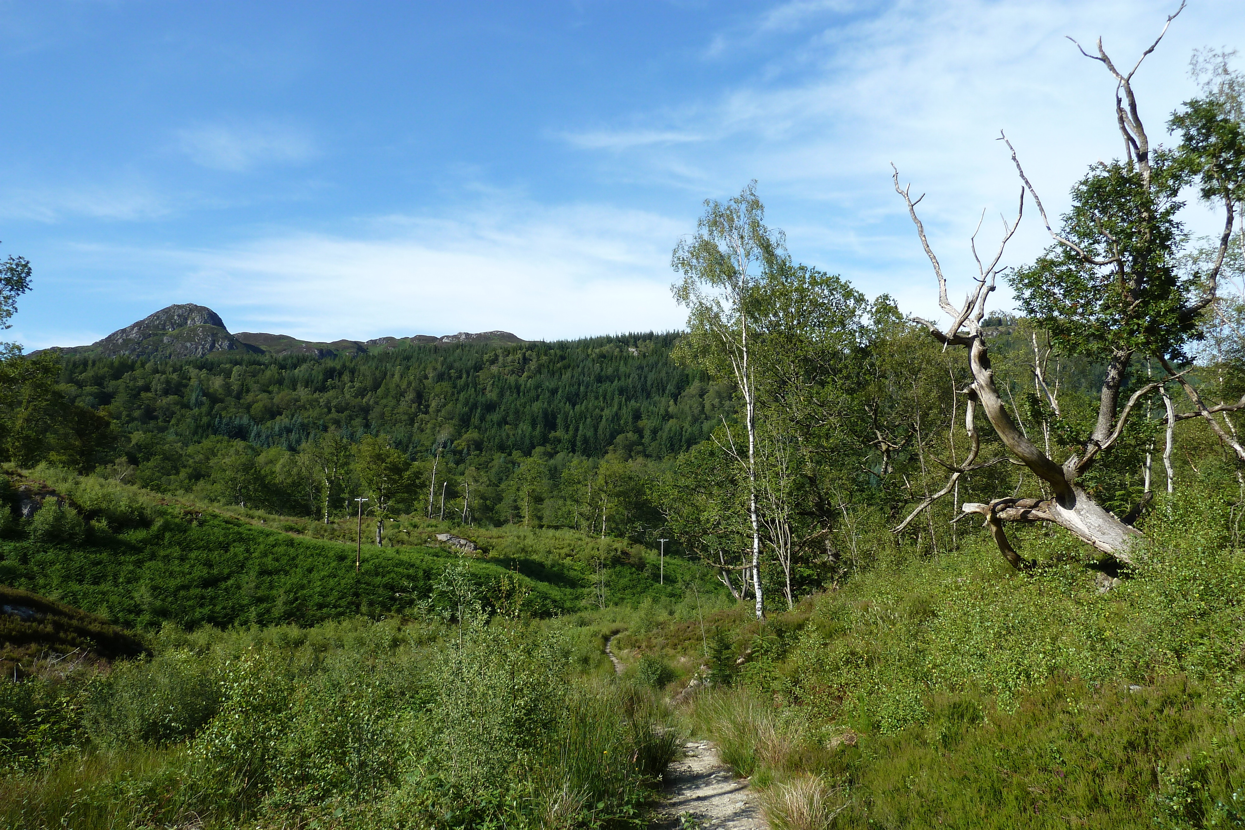 Picture United Kingdom The Trossachs 2011-07 66 - Discovery The Trossachs