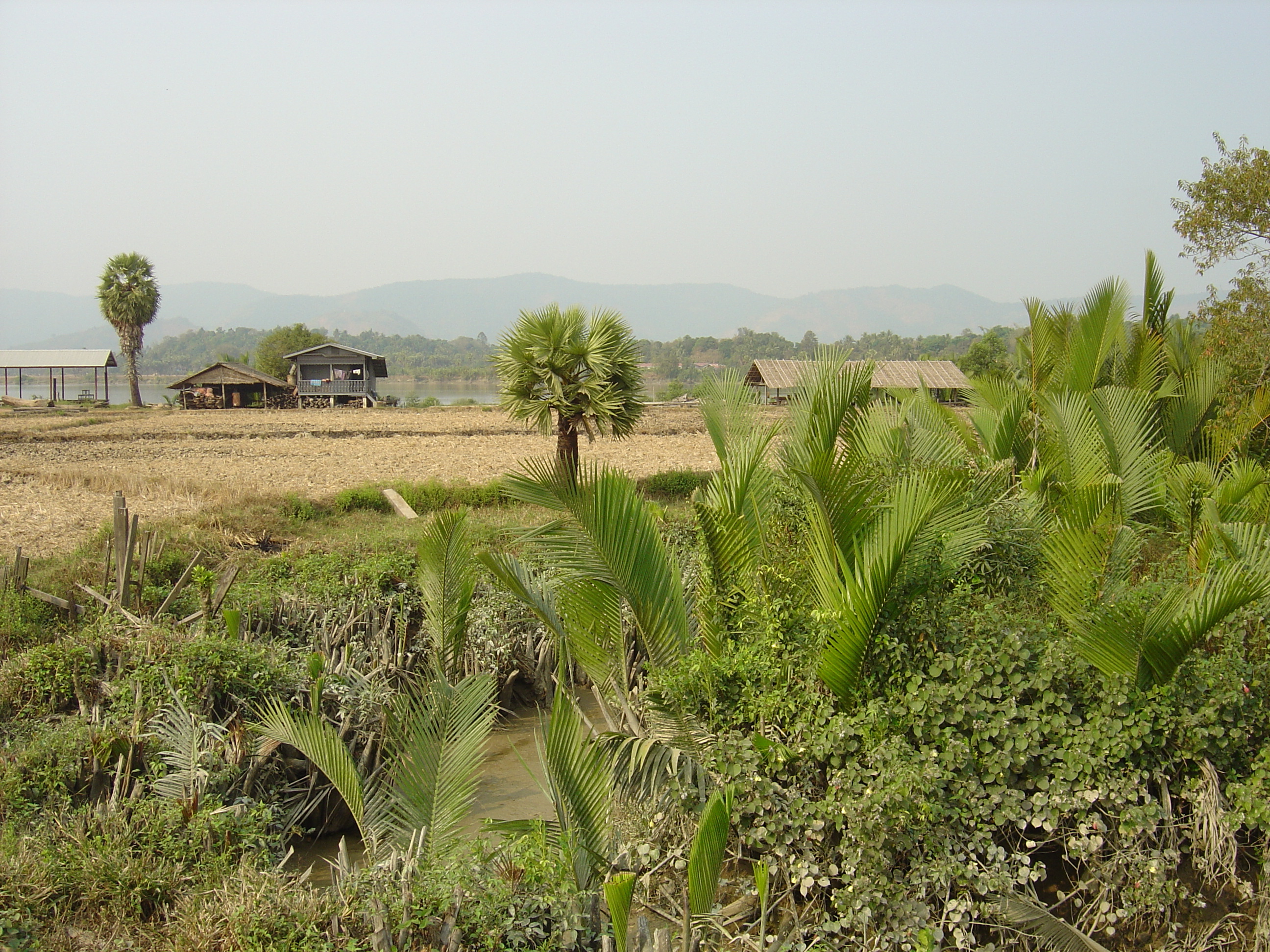 Picture Myanmar Dawei (TAVOY) 2005-01 36 - History Dawei (TAVOY)