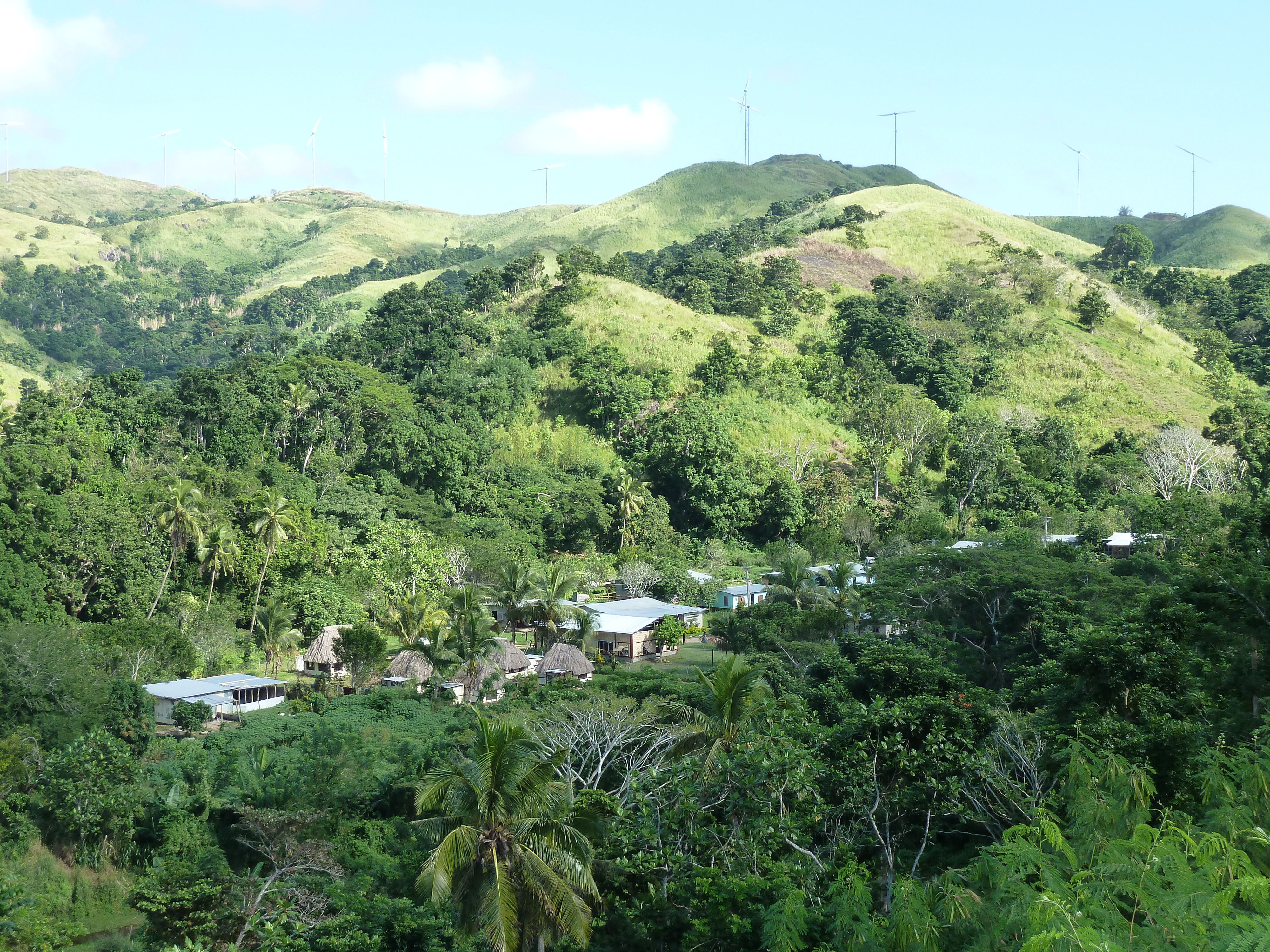 Picture Fiji Sigatoka river 2010-05 21 - Discovery Sigatoka river