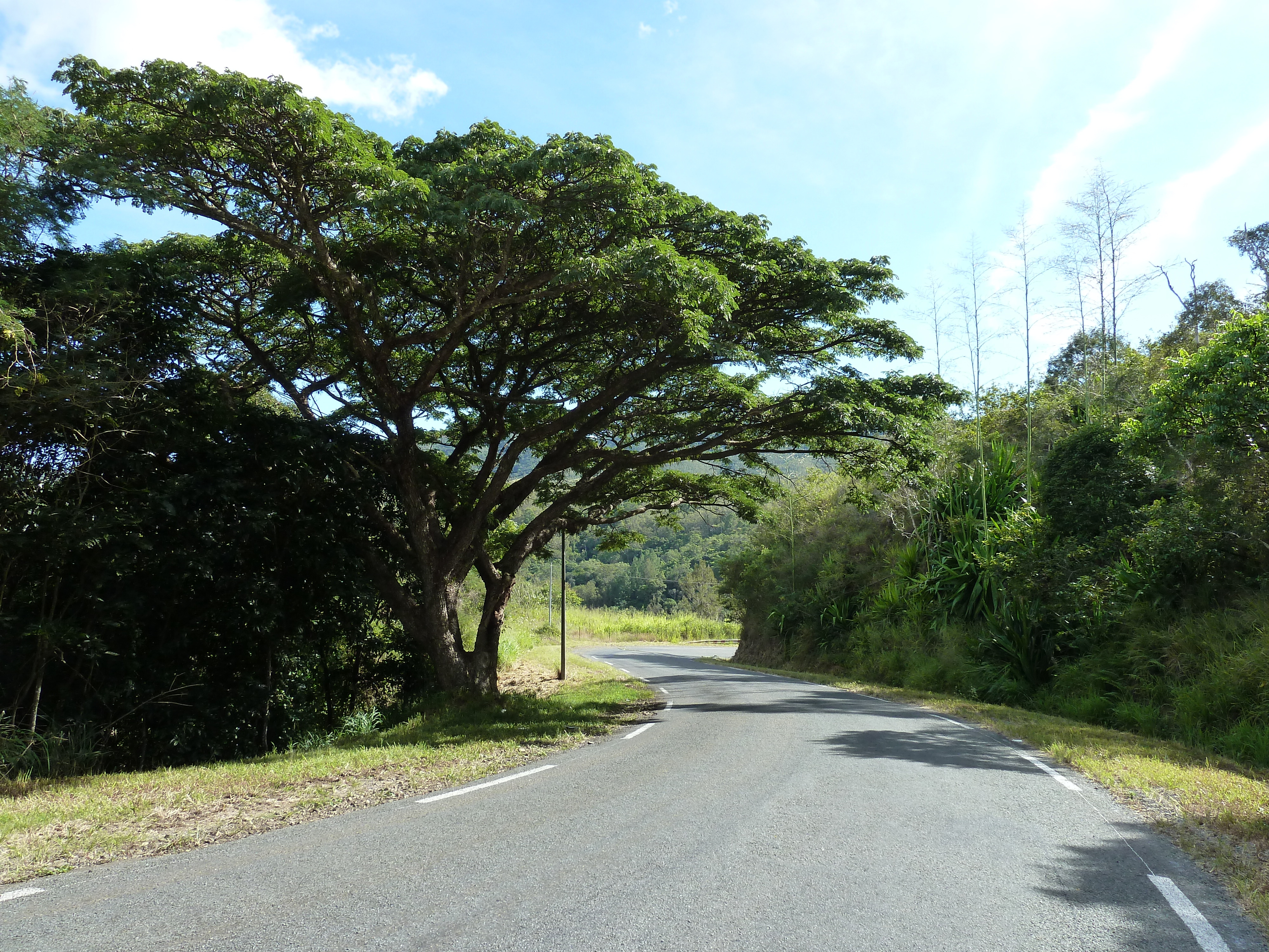 Picture New Caledonia Tontouta to Thio road 2010-05 71 - Journey Tontouta to Thio road