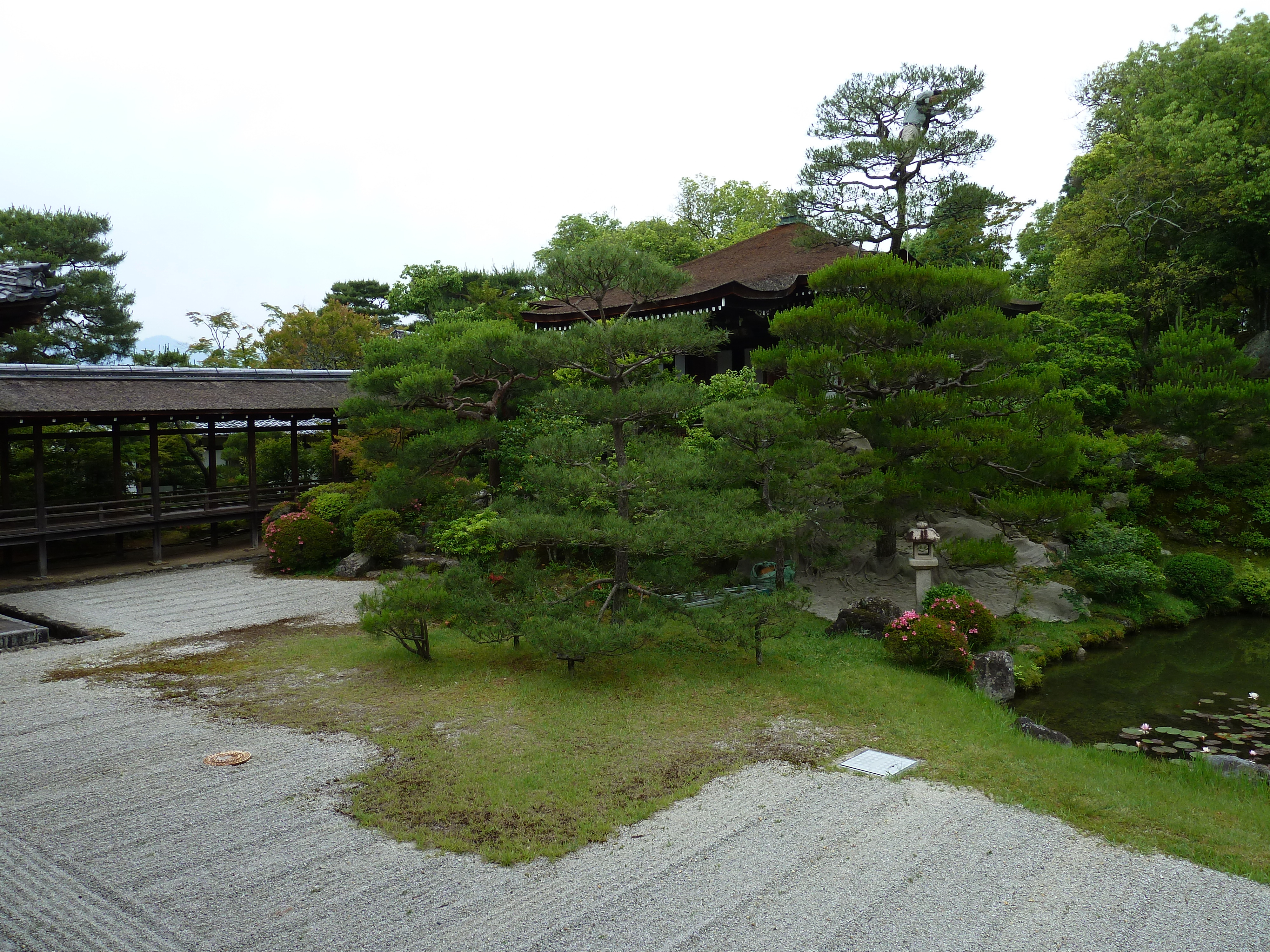 Picture Japan Kyoto Ninna ji imperial Residence 2010-06 59 - Journey Ninna ji imperial Residence