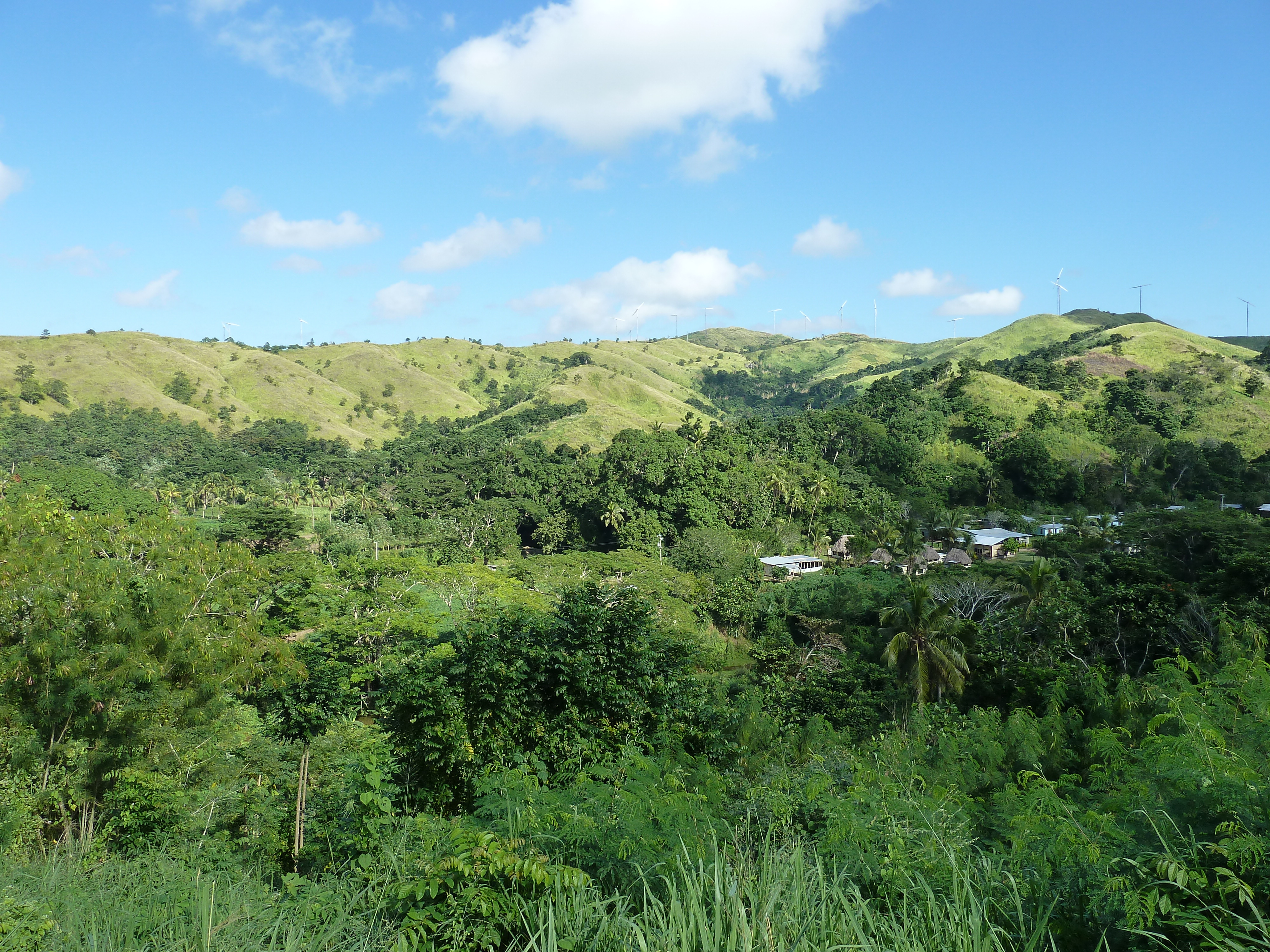 Picture Fiji Sigatoka river 2010-05 12 - Discovery Sigatoka river