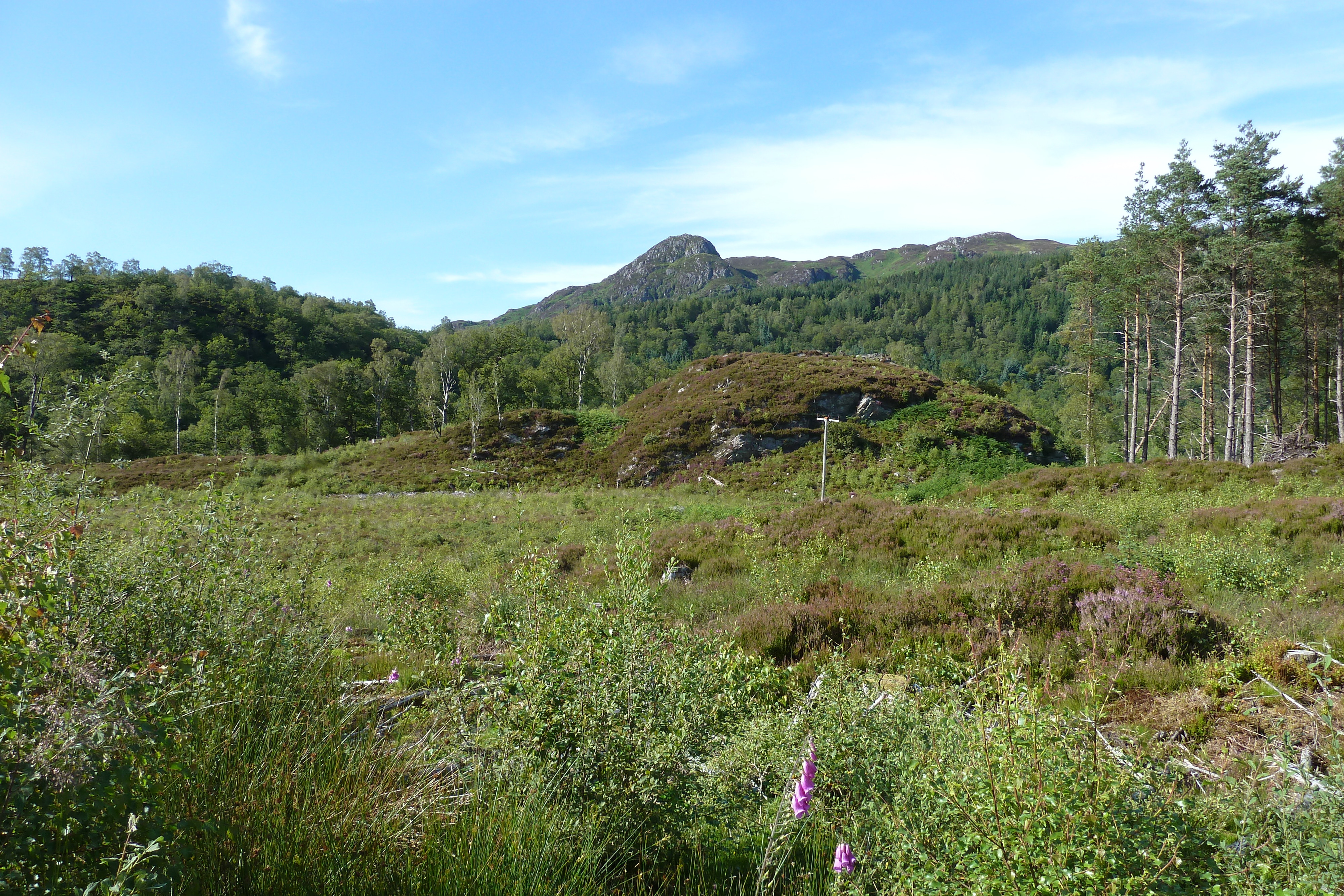 Picture United Kingdom The Trossachs 2011-07 71 - Tour The Trossachs