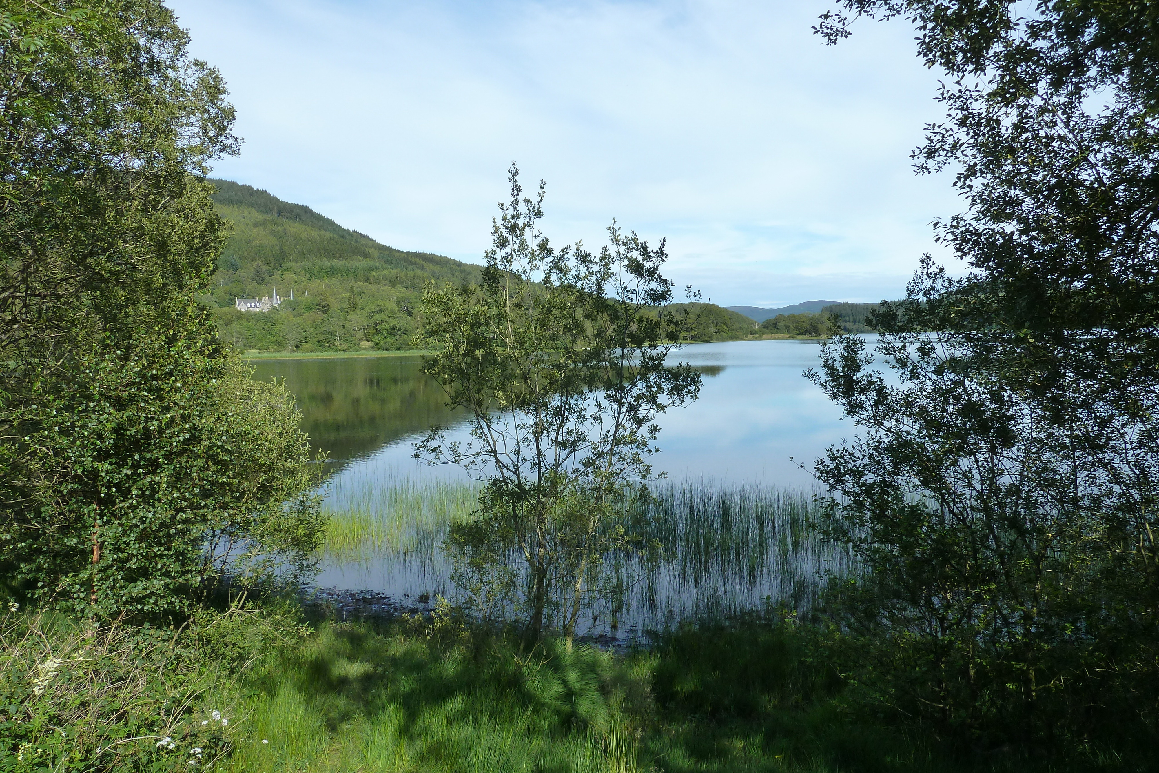 Picture United Kingdom The Trossachs 2011-07 87 - Journey The Trossachs