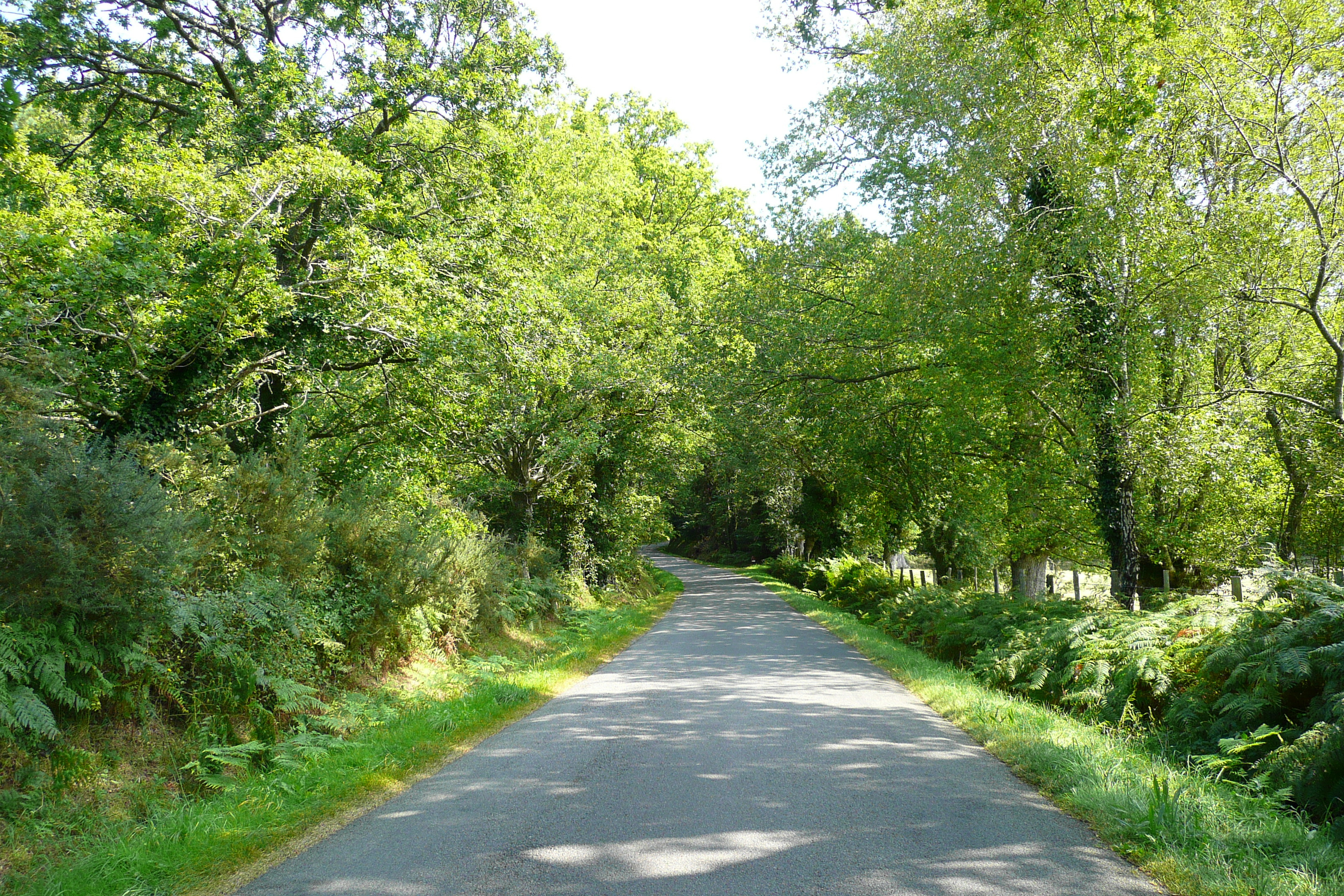 Picture France Brittany roads 2007-08 41 - Tour Brittany roads