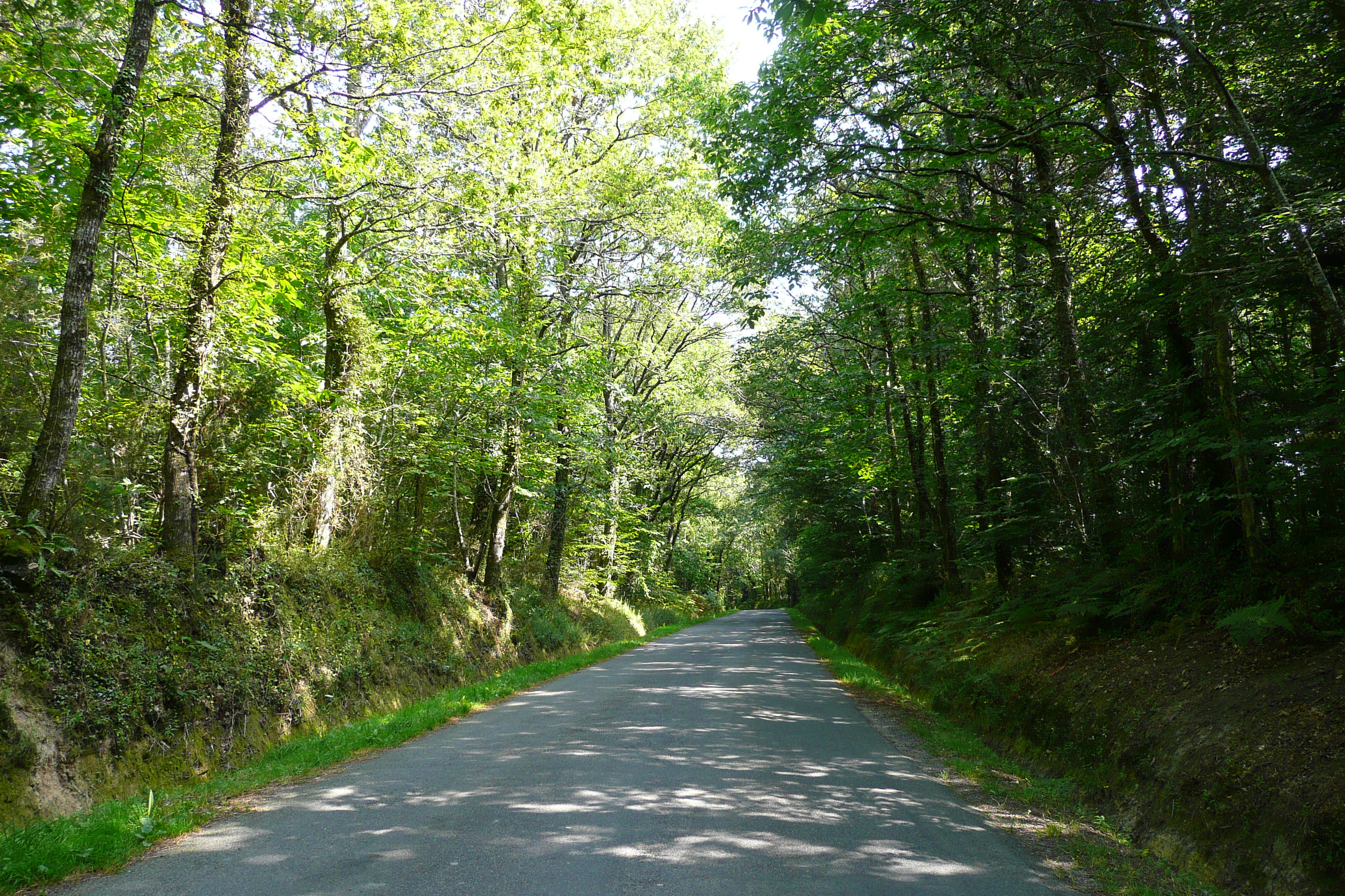 Picture France Brittany roads 2007-08 44 - History Brittany roads