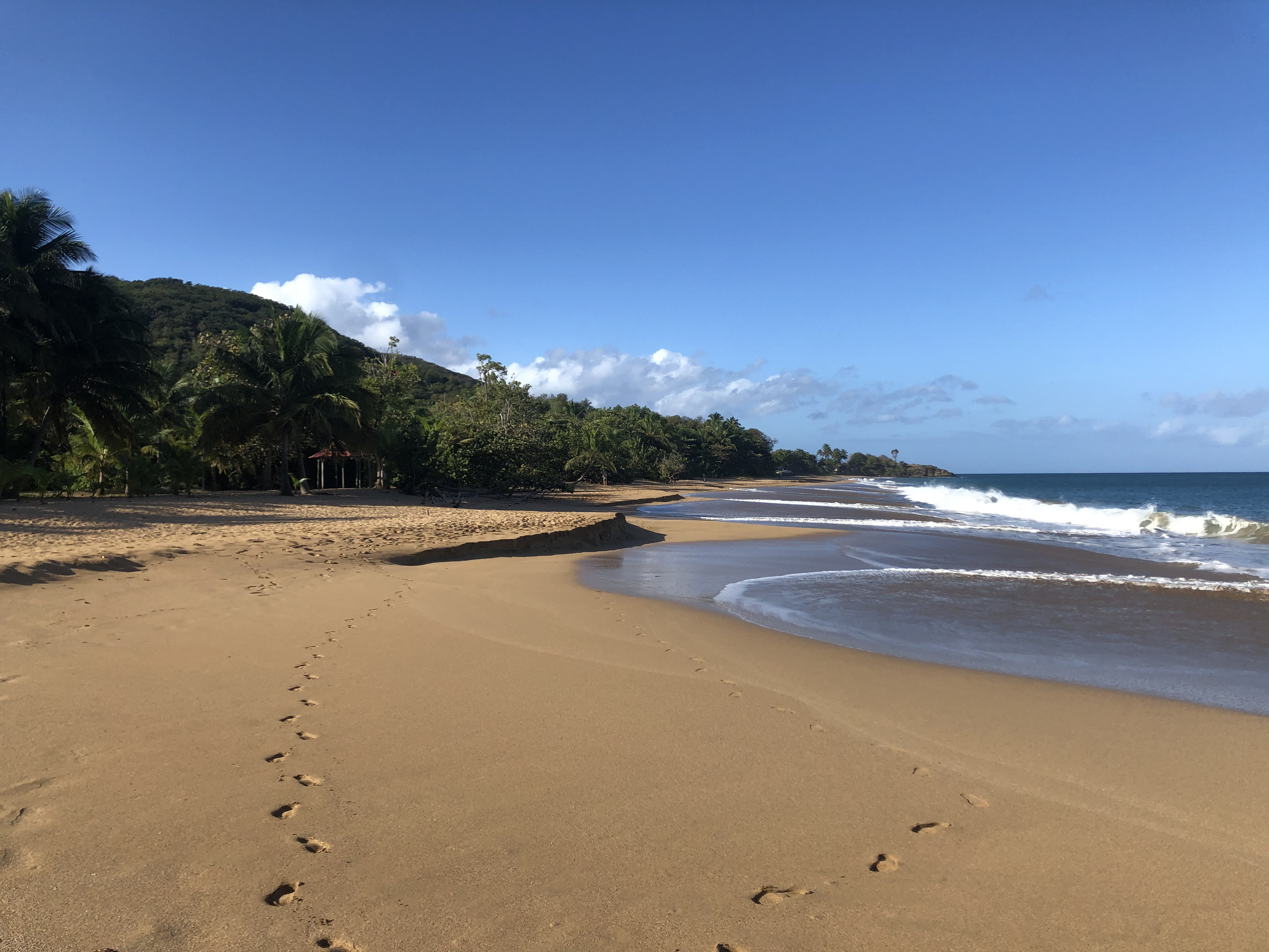 Picture Guadeloupe La Perle Beach 2021-02 8 - History La Perle Beach