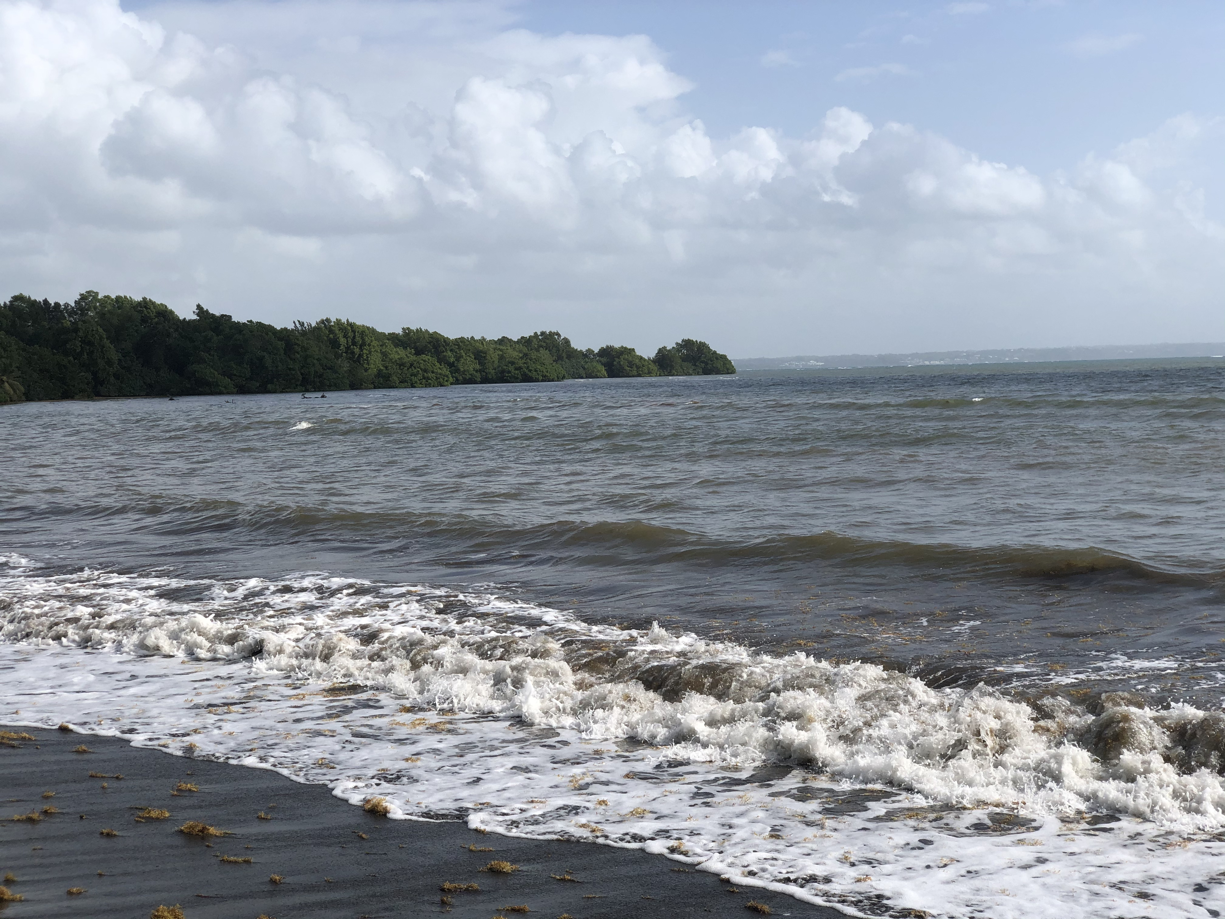 Picture Guadeloupe Viard Beach 2021-02 3 - Tour Viard Beach