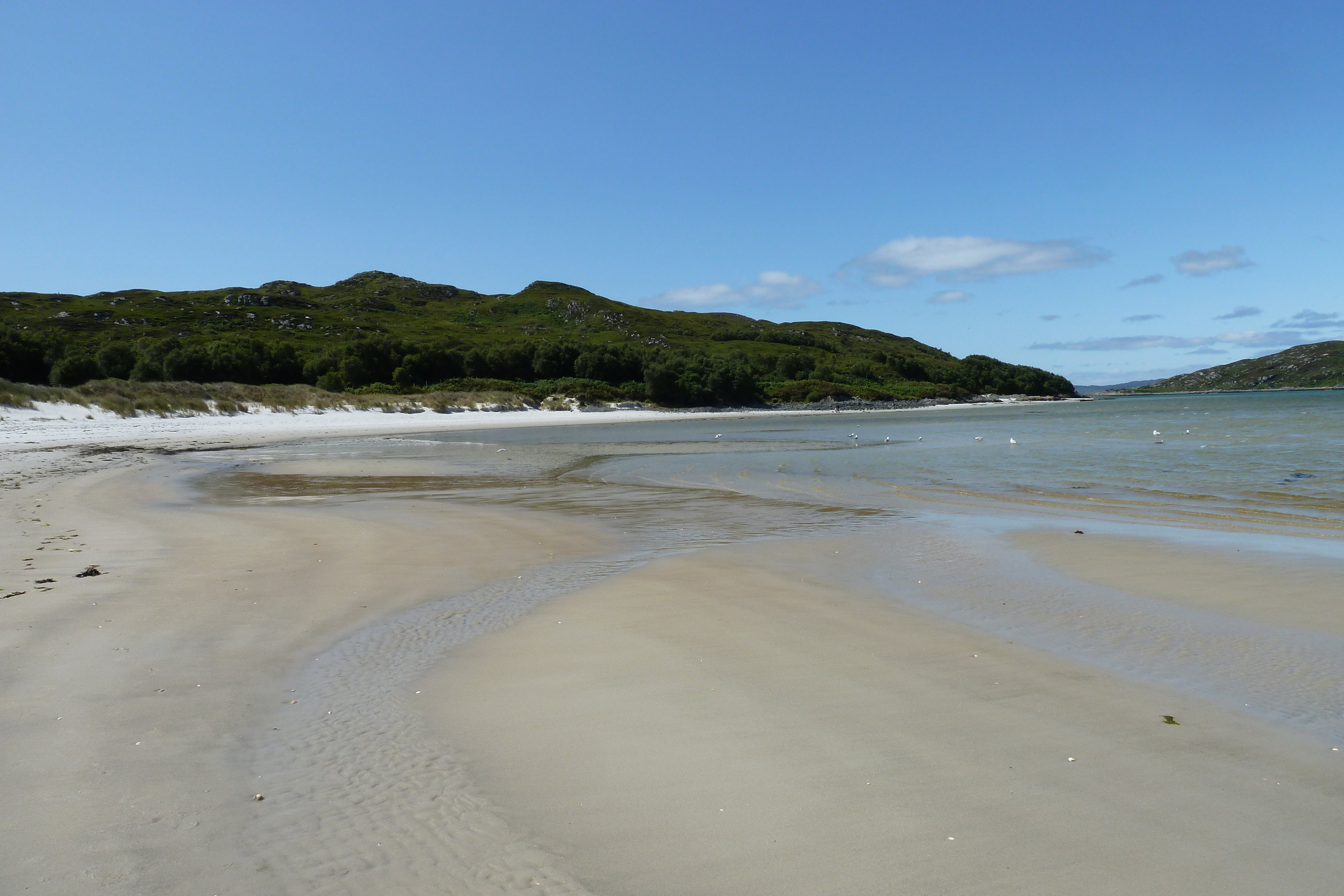 Picture United Kingdom Scotland Arisaig coast 2011-07 56 - Discovery Arisaig coast