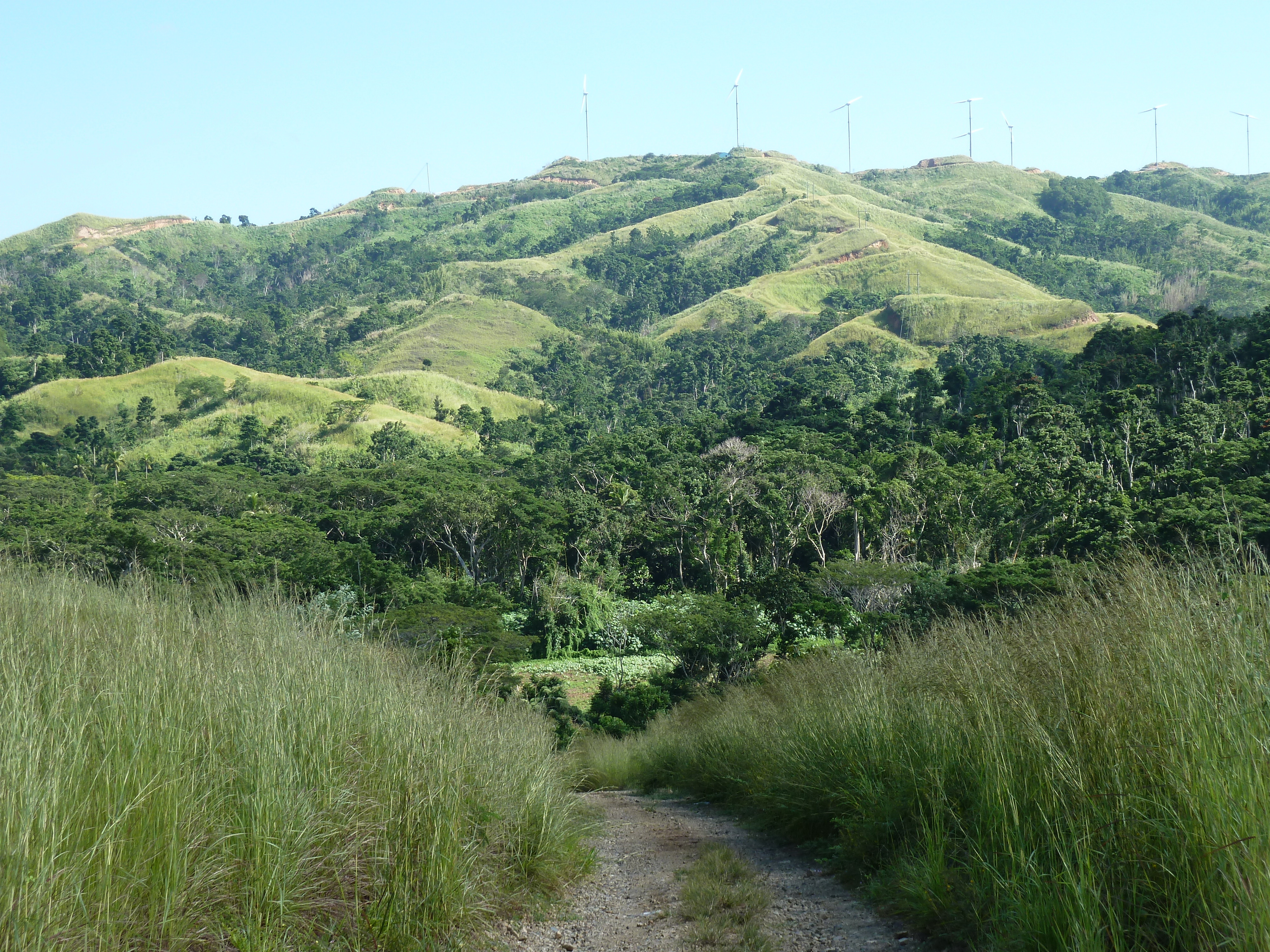 Picture Fiji Sigatoka river 2010-05 72 - Tour Sigatoka river