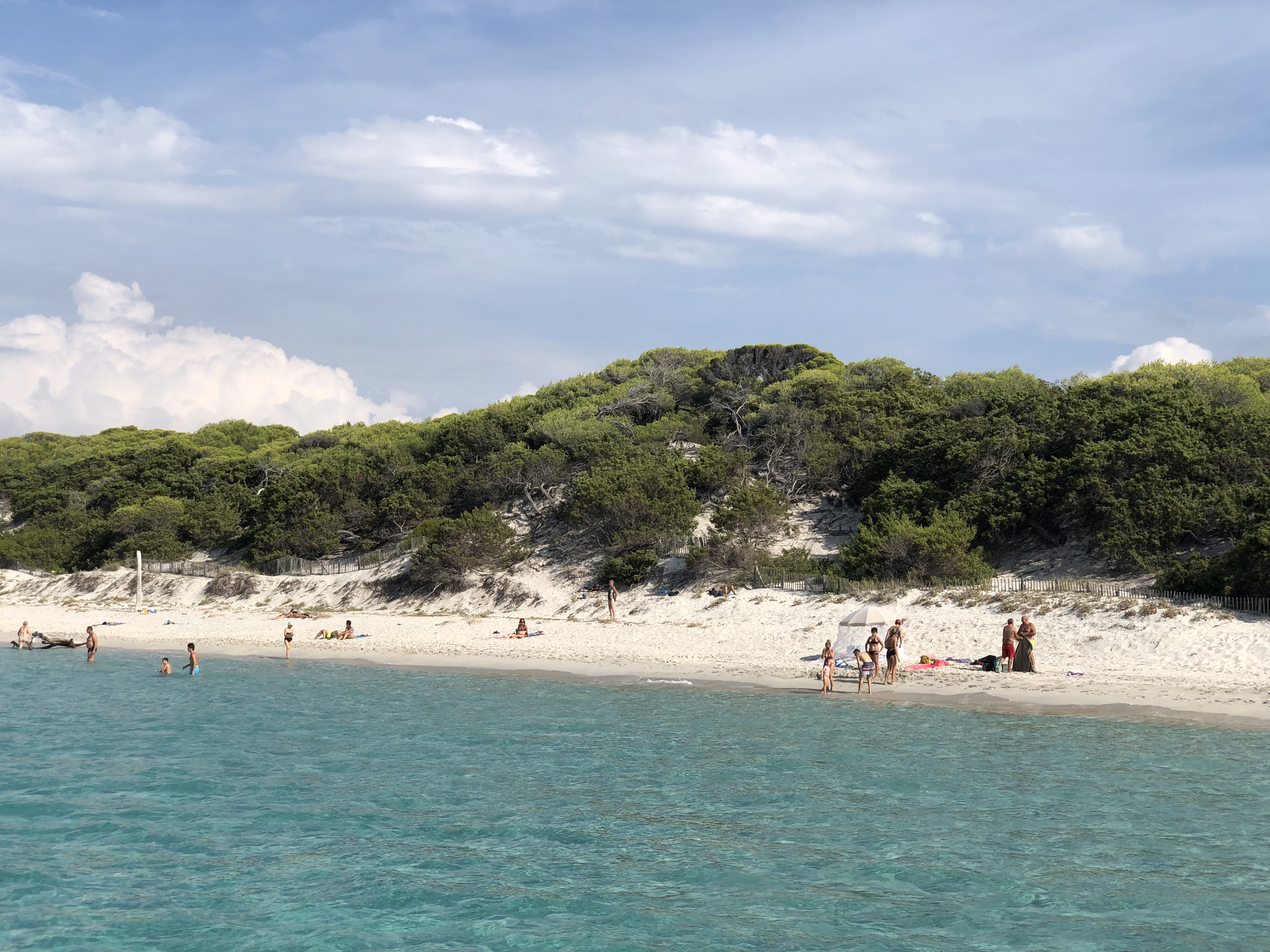 Picture France Corsica Saleccia Beach 2018-09 9 - Center Saleccia Beach