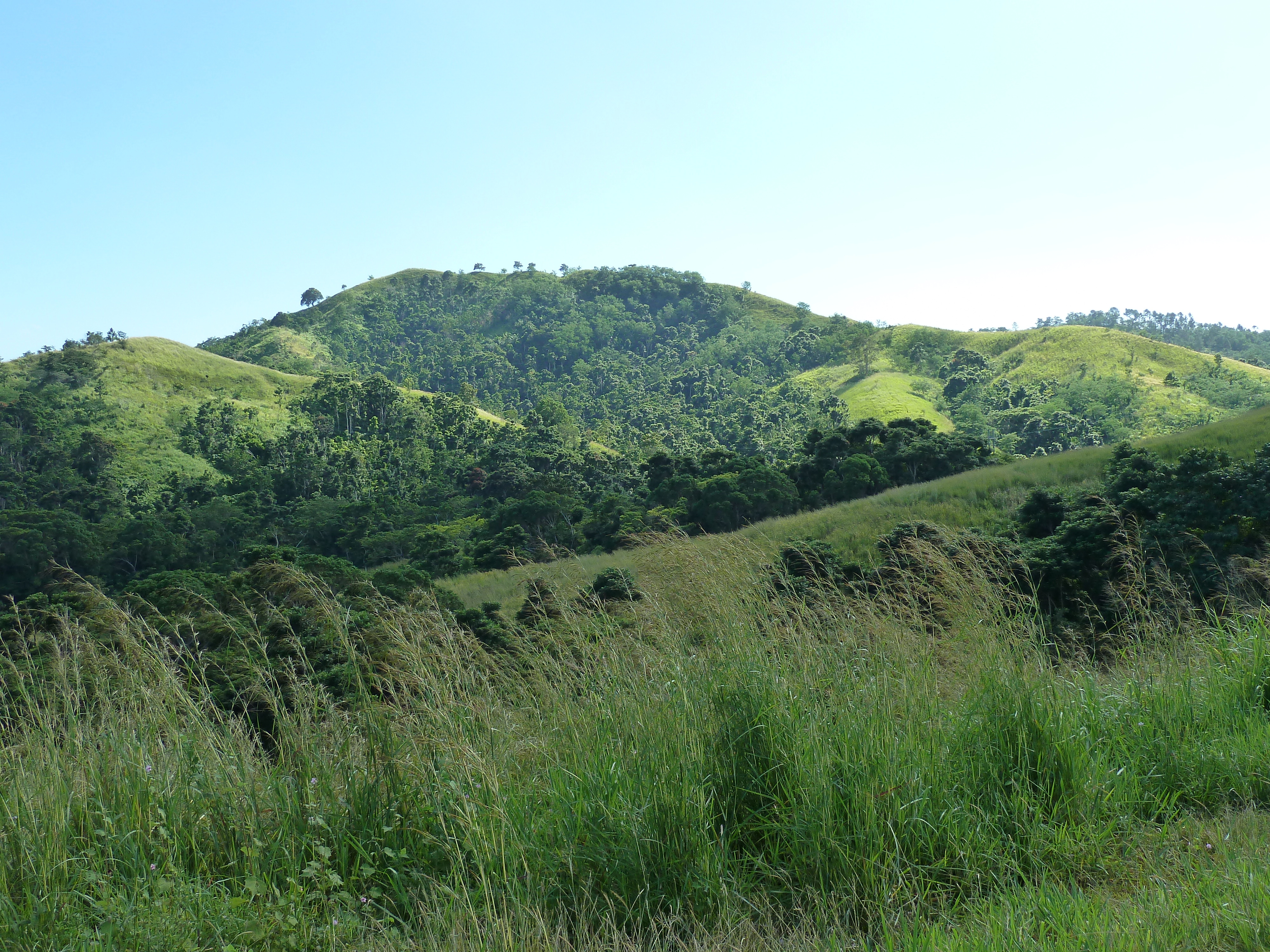 Picture Fiji Sigatoka river 2010-05 80 - History Sigatoka river