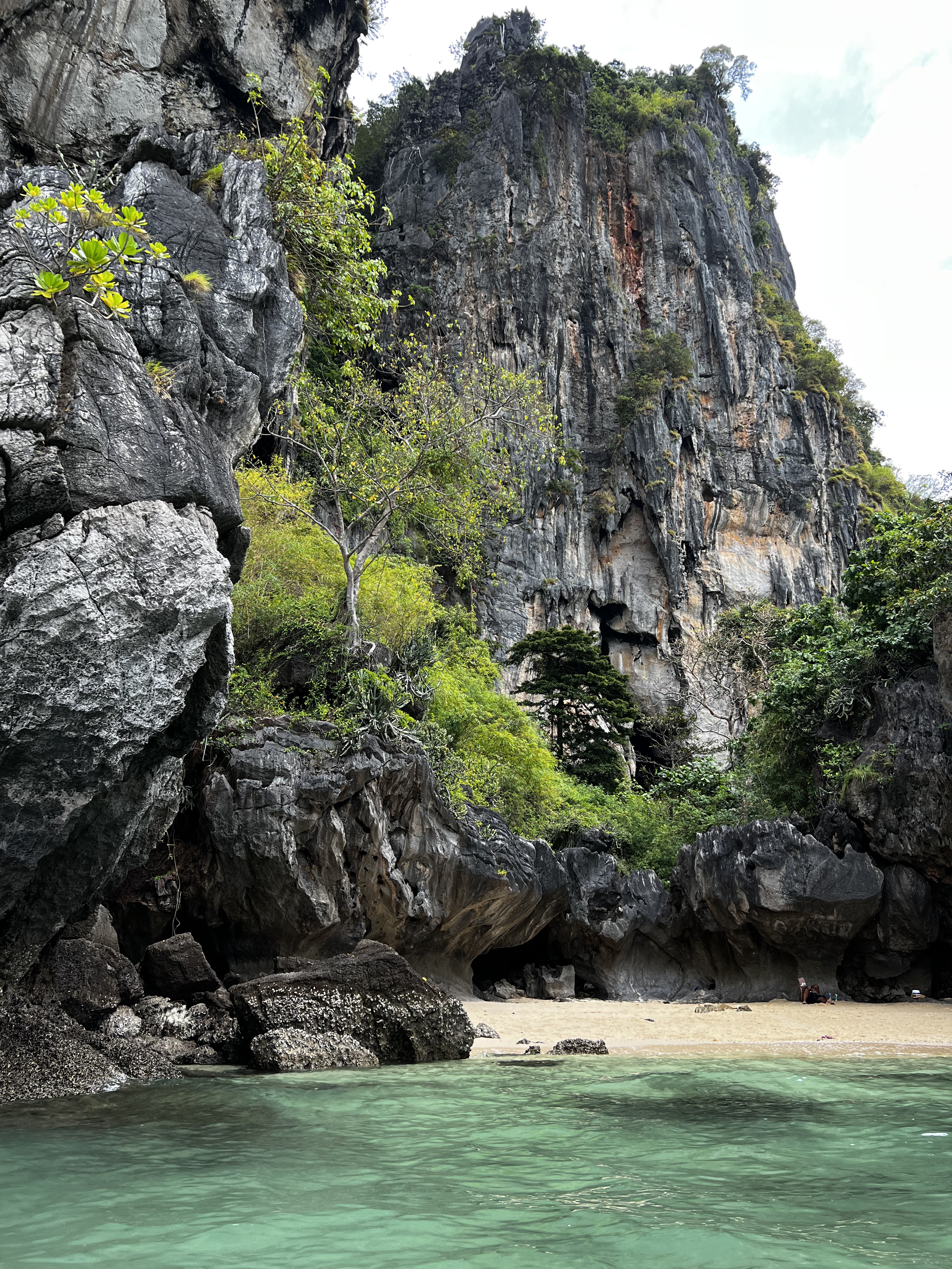 Picture Thailand Krabi 2023-01 444 - Discovery Krabi