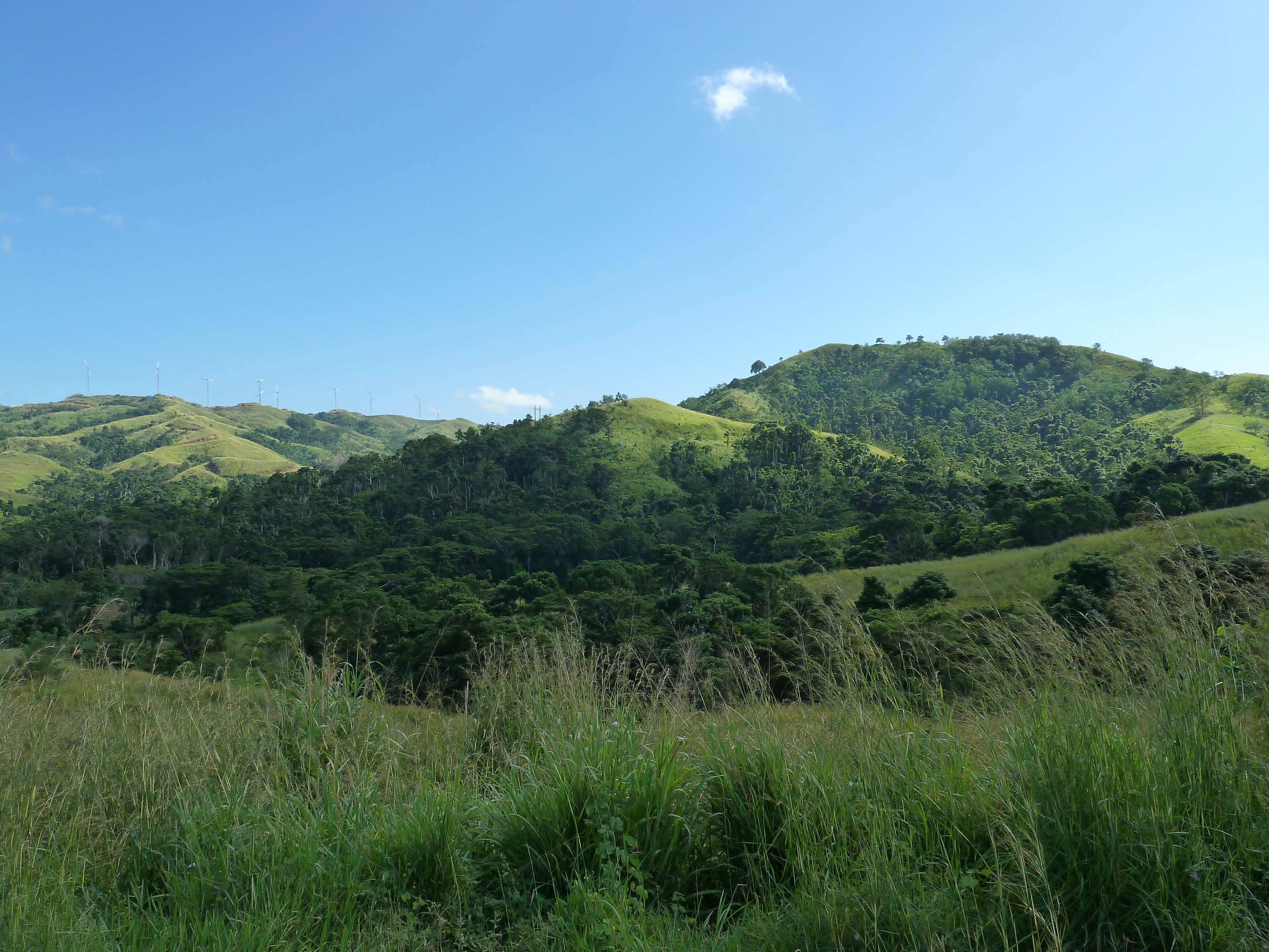 Picture Fiji Sigatoka river 2010-05 69 - Discovery Sigatoka river