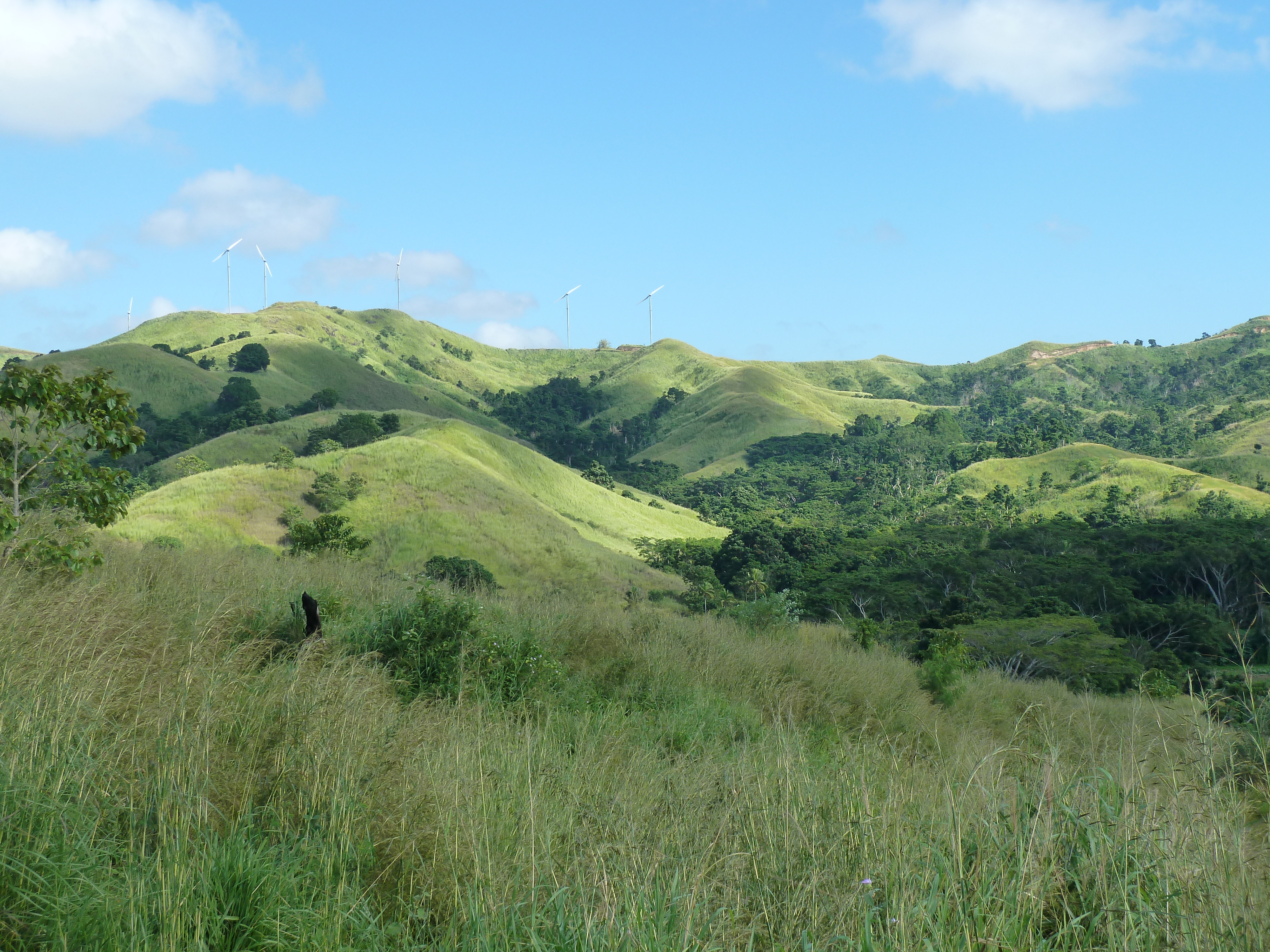 Picture Fiji Sigatoka river 2010-05 57 - Tours Sigatoka river