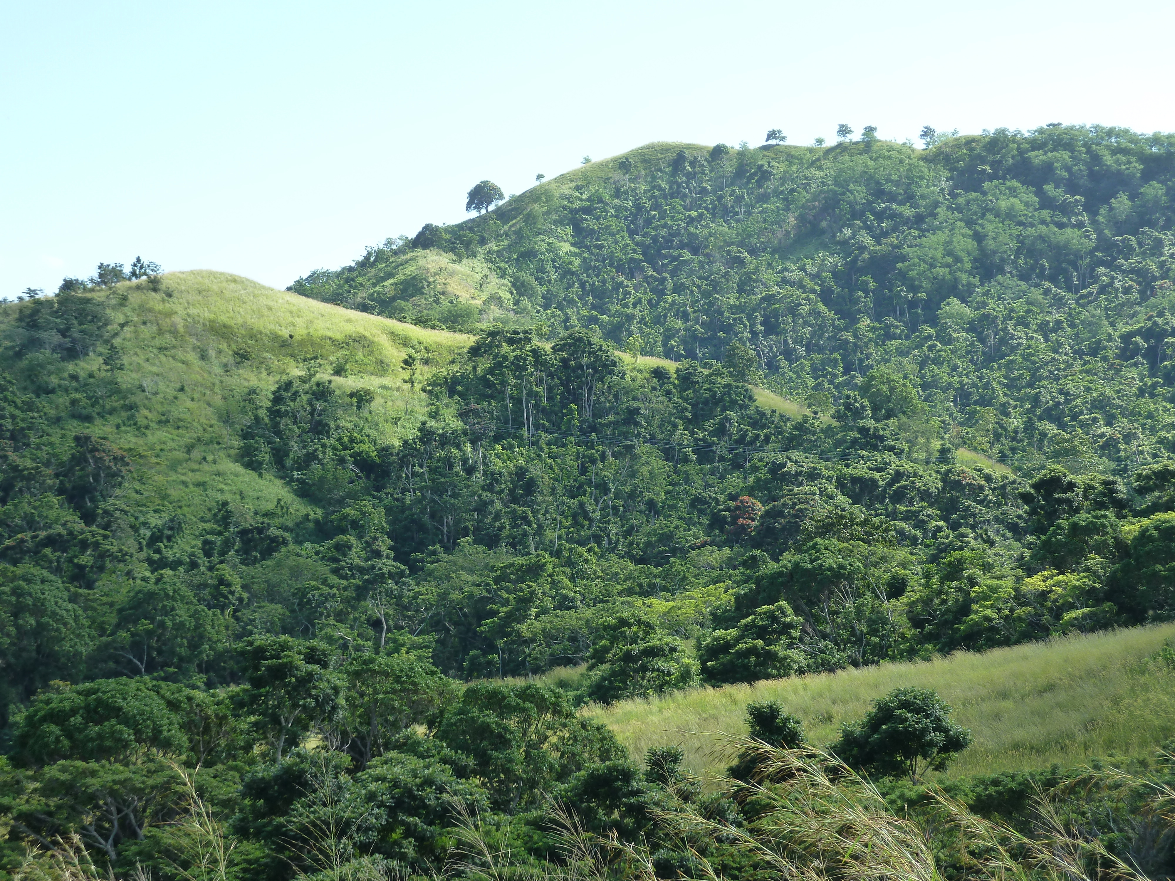 Picture Fiji Sigatoka river 2010-05 24 - History Sigatoka river