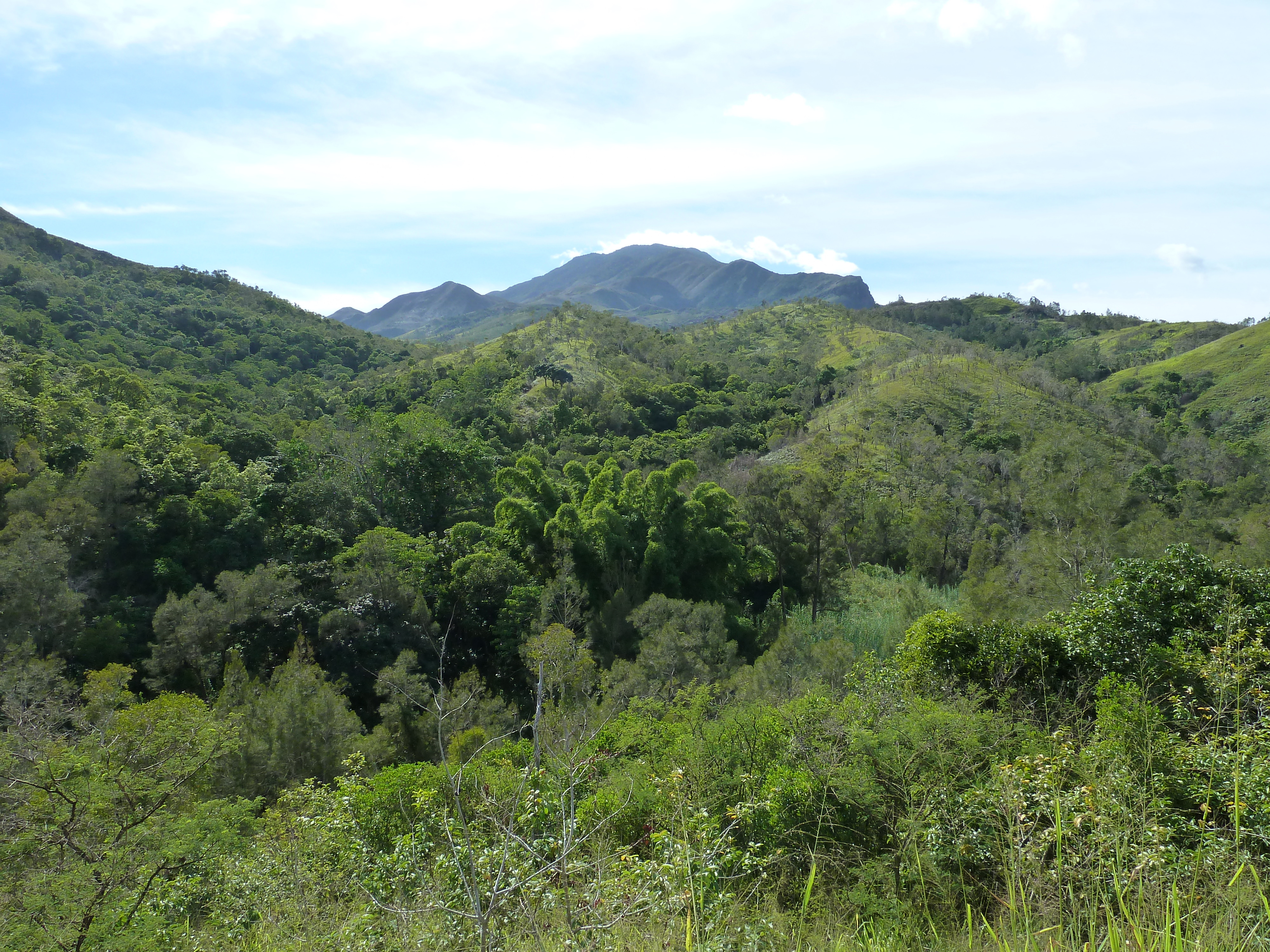 Picture New Caledonia Tontouta to Thio road 2010-05 9 - Discovery Tontouta to Thio road