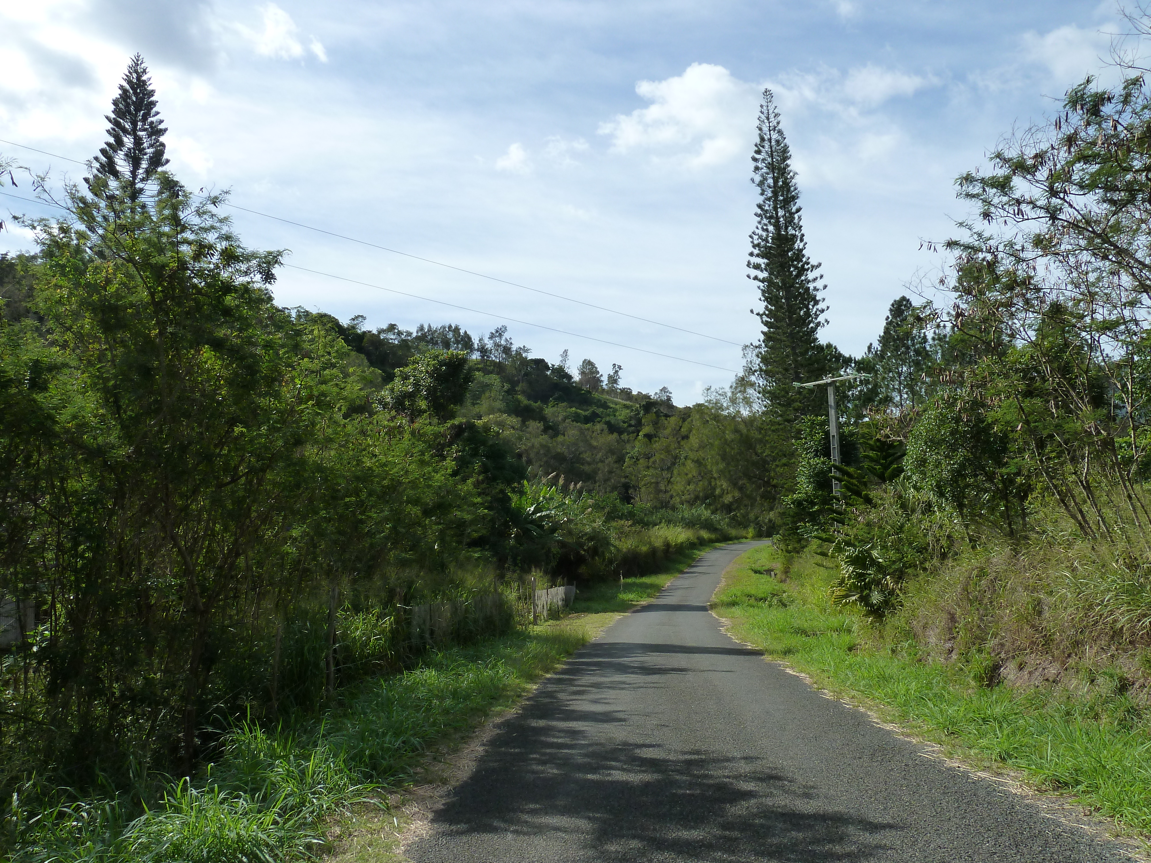 Picture New Caledonia Tontouta to Thio road 2010-05 0 - Discovery Tontouta to Thio road