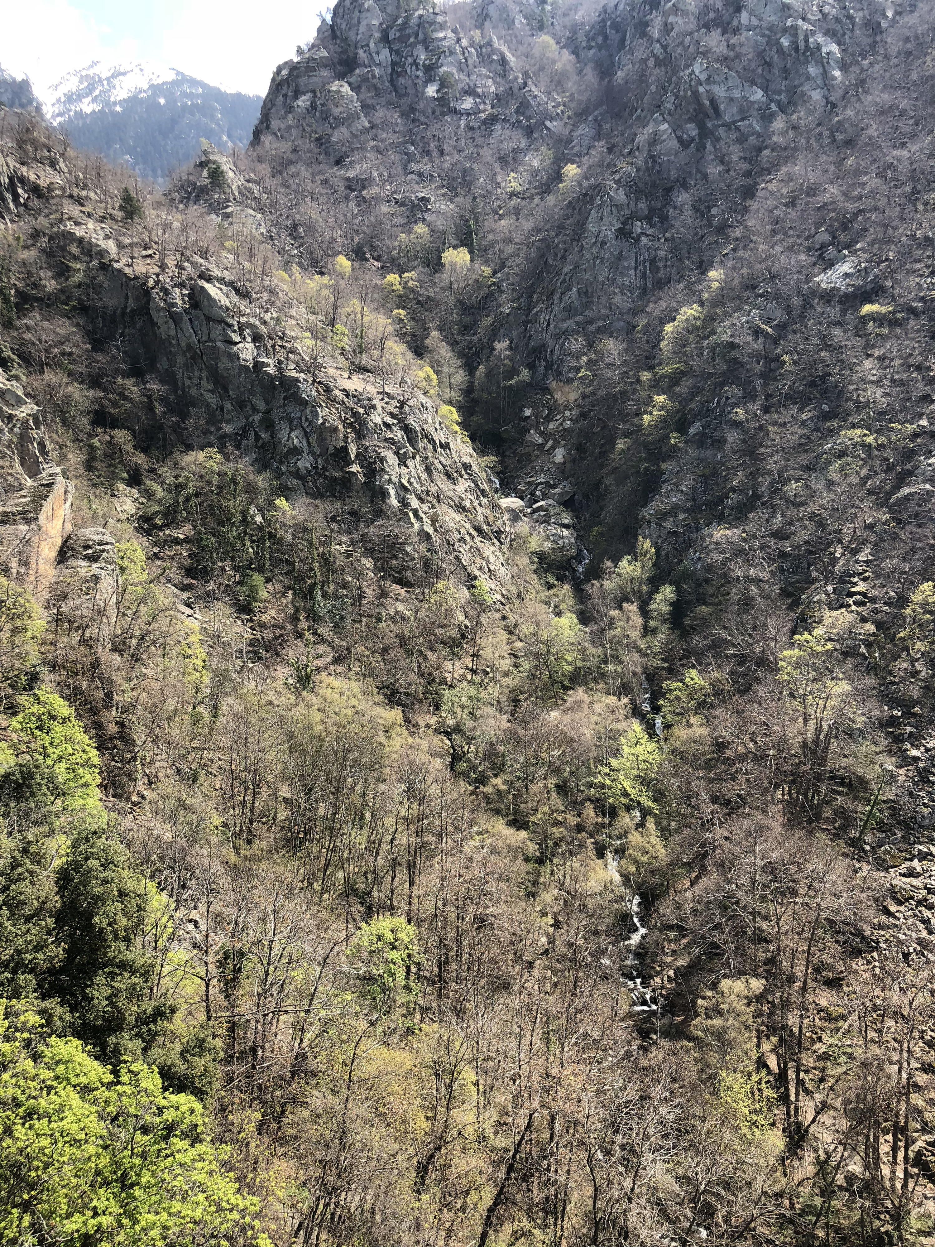 Picture France Abbaye Saint Martin du Canigou 2018-04 86 - Journey Abbaye Saint Martin du Canigou