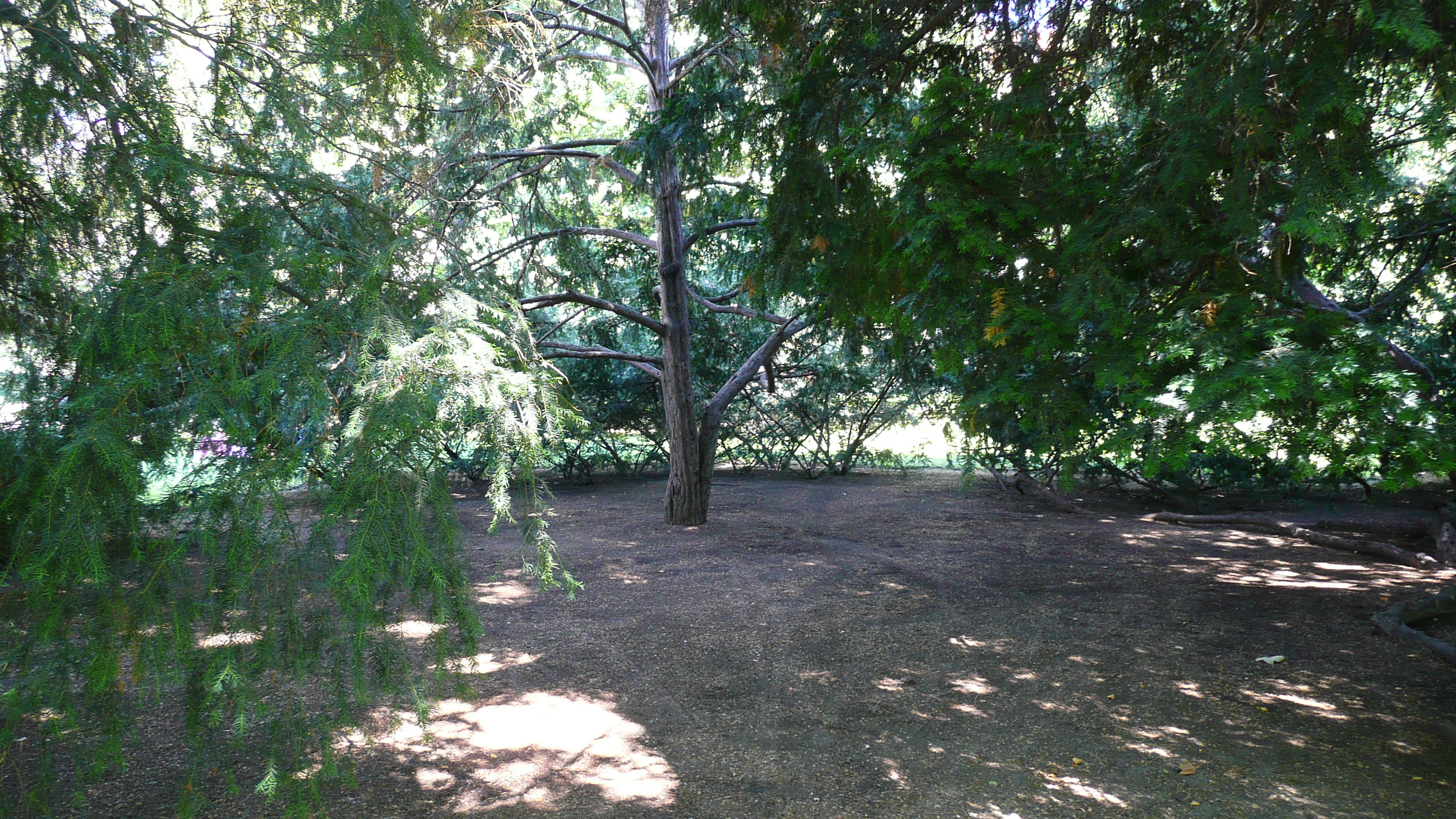 Picture Czech Republic Prague Zofin Garden 2007-07 9 - Center Zofin Garden