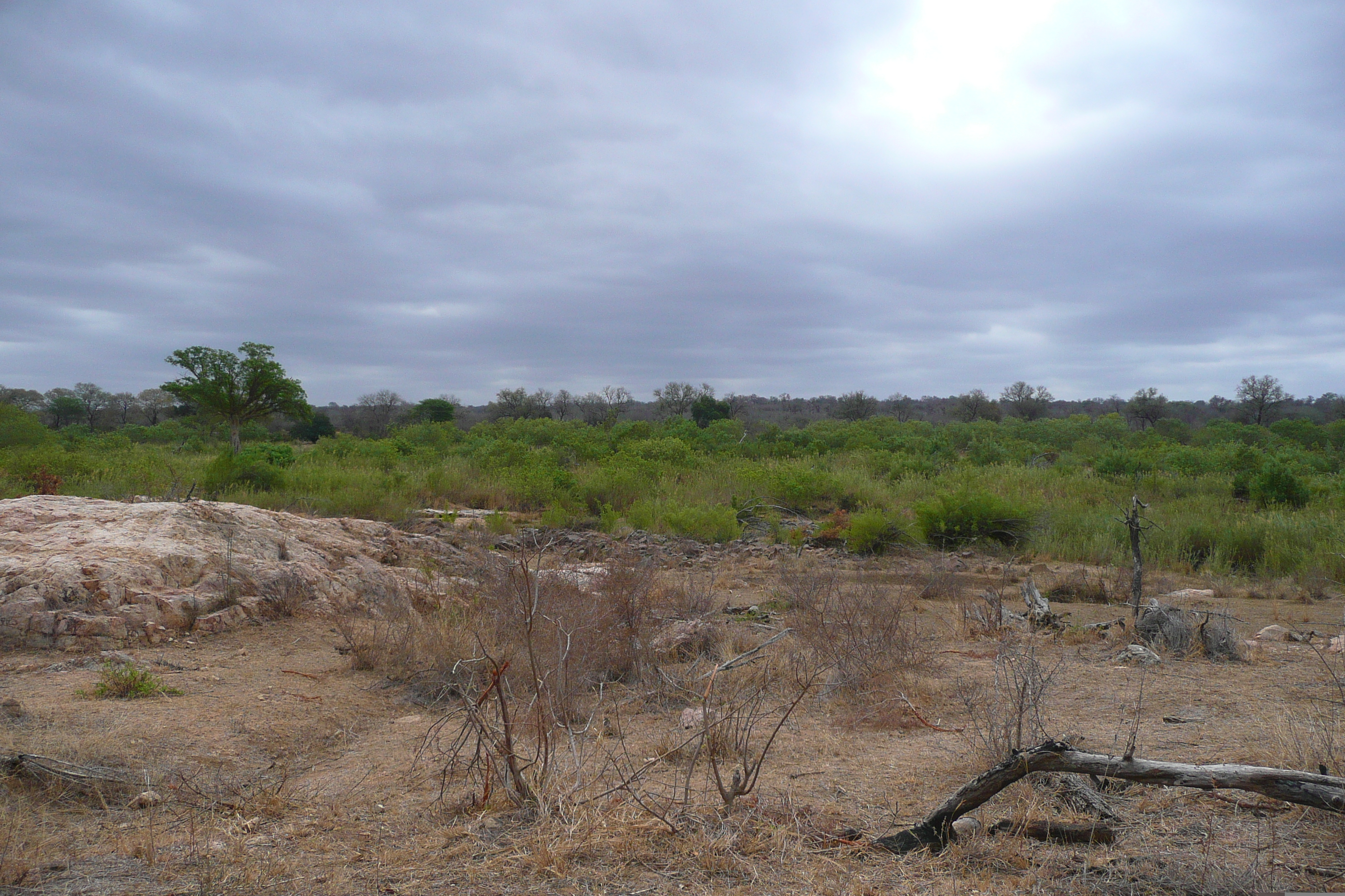 Picture South Africa Kruger National Park Sable River 2008-09 70 - History Sable River