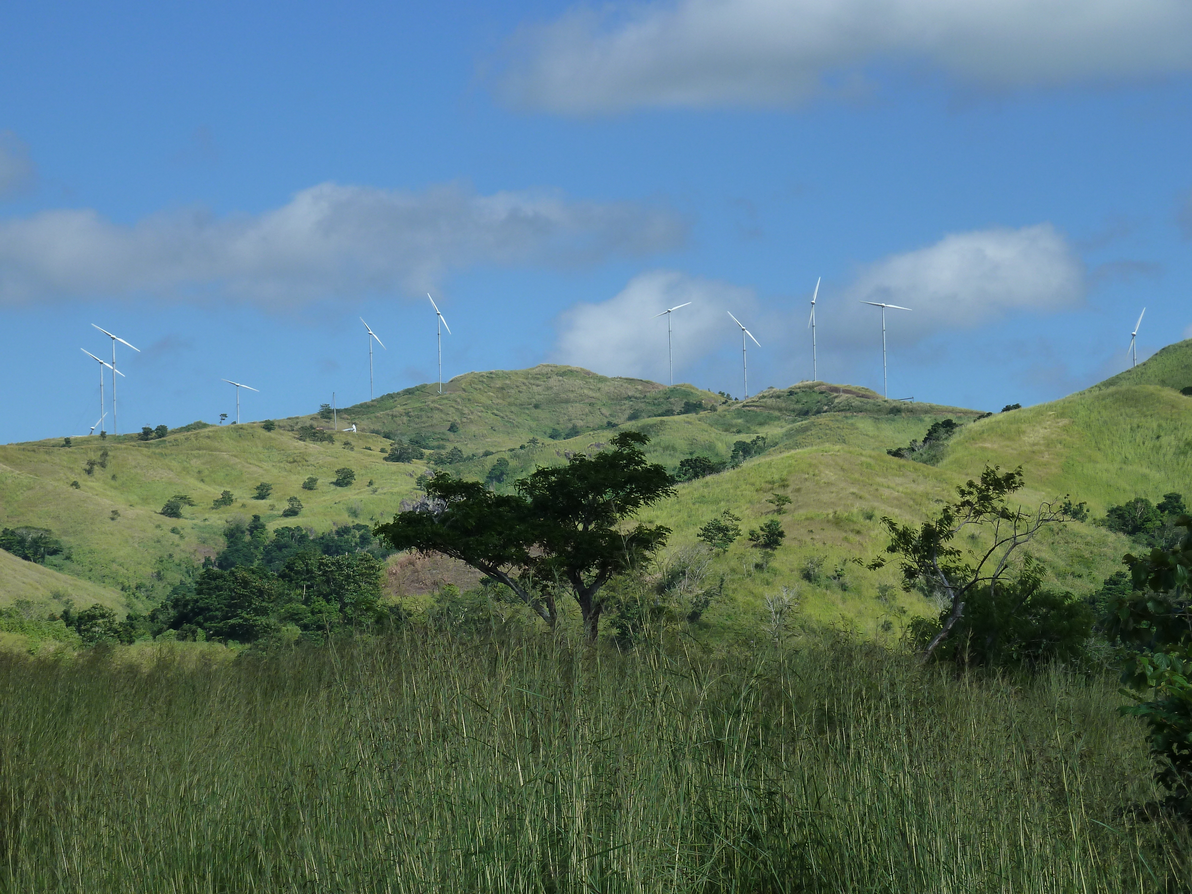 Picture Fiji Sigatoka river 2010-05 20 - History Sigatoka river