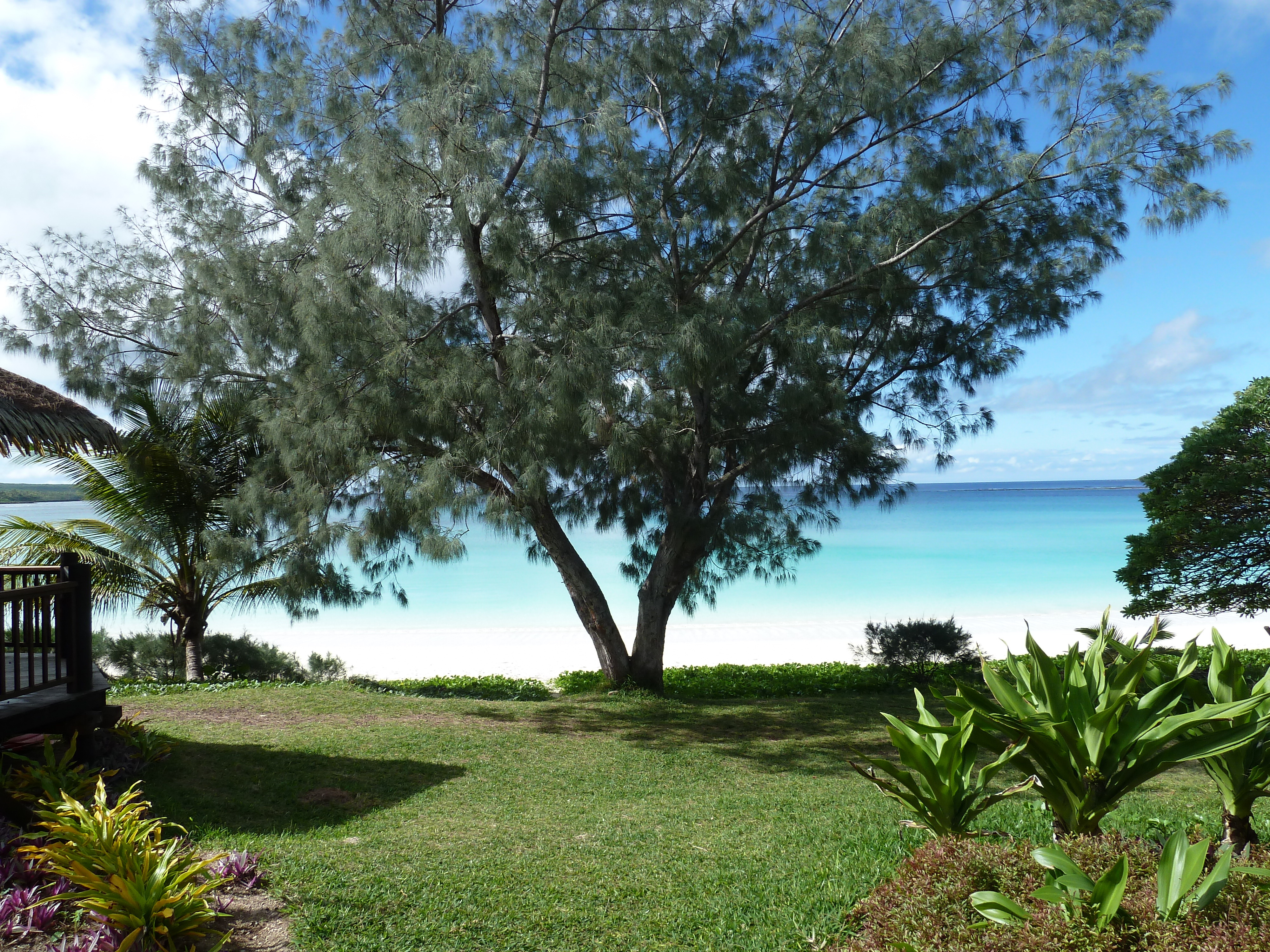 Picture New Caledonia 2010-05 50 - Discovery New Caledonia