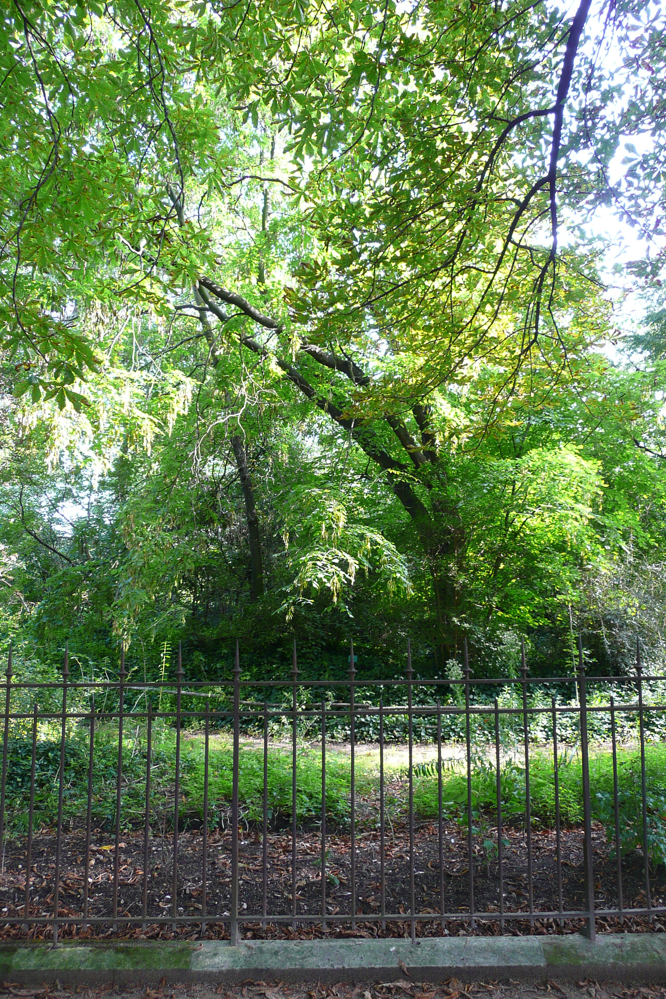 Picture France Paris Jardin des Plantes 2007-08 115 - Tours Jardin des Plantes