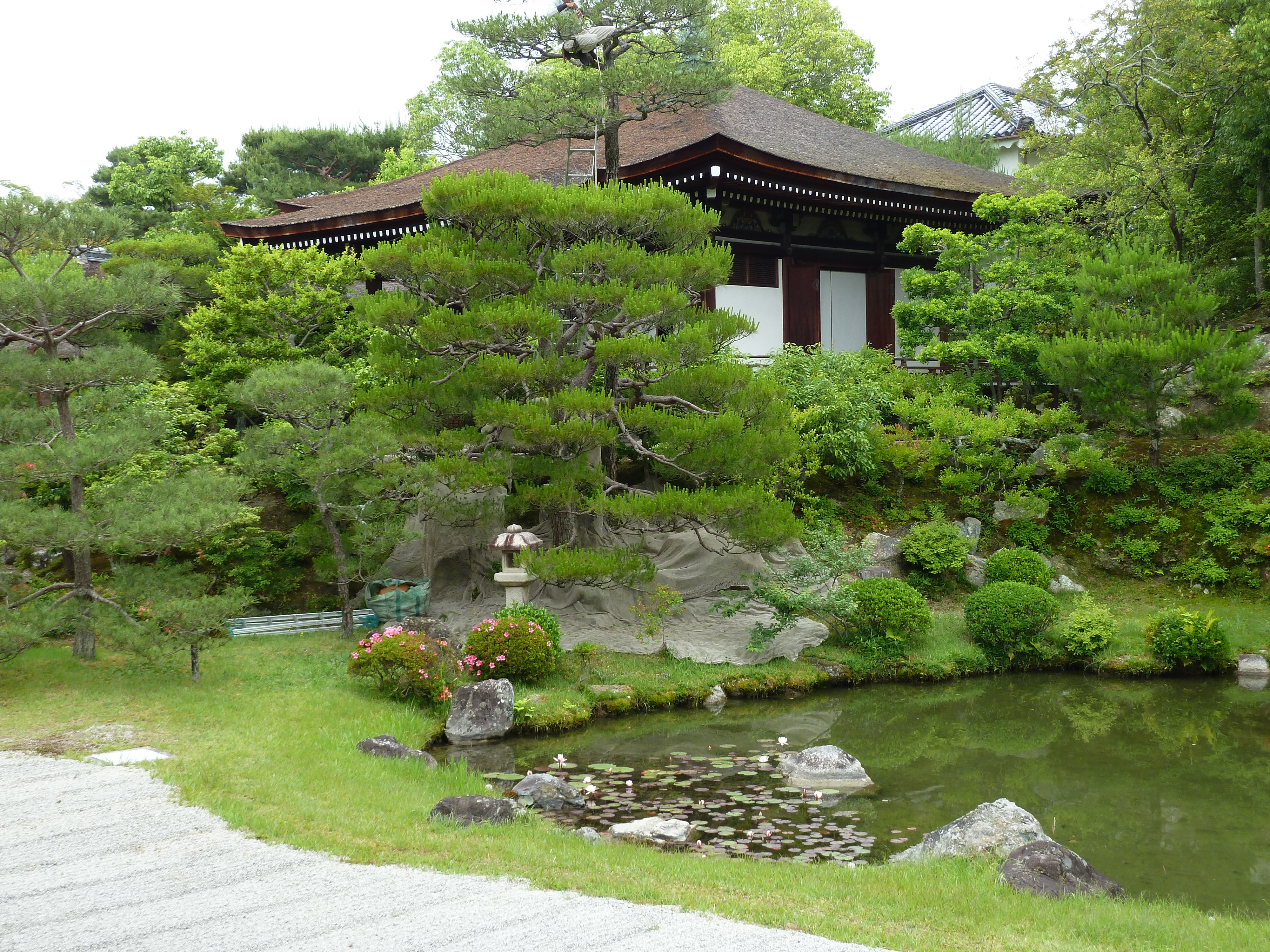 Picture Japan Kyoto Ninna ji imperial Residence 2010-06 32 - History Ninna ji imperial Residence