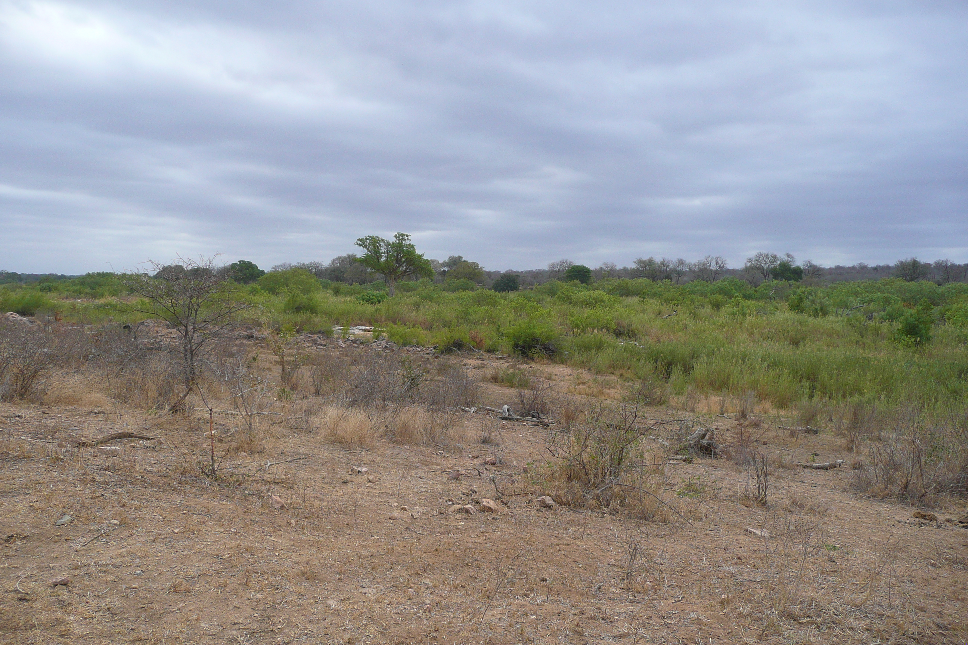 Picture South Africa Kruger National Park Sable River 2008-09 75 - History Sable River