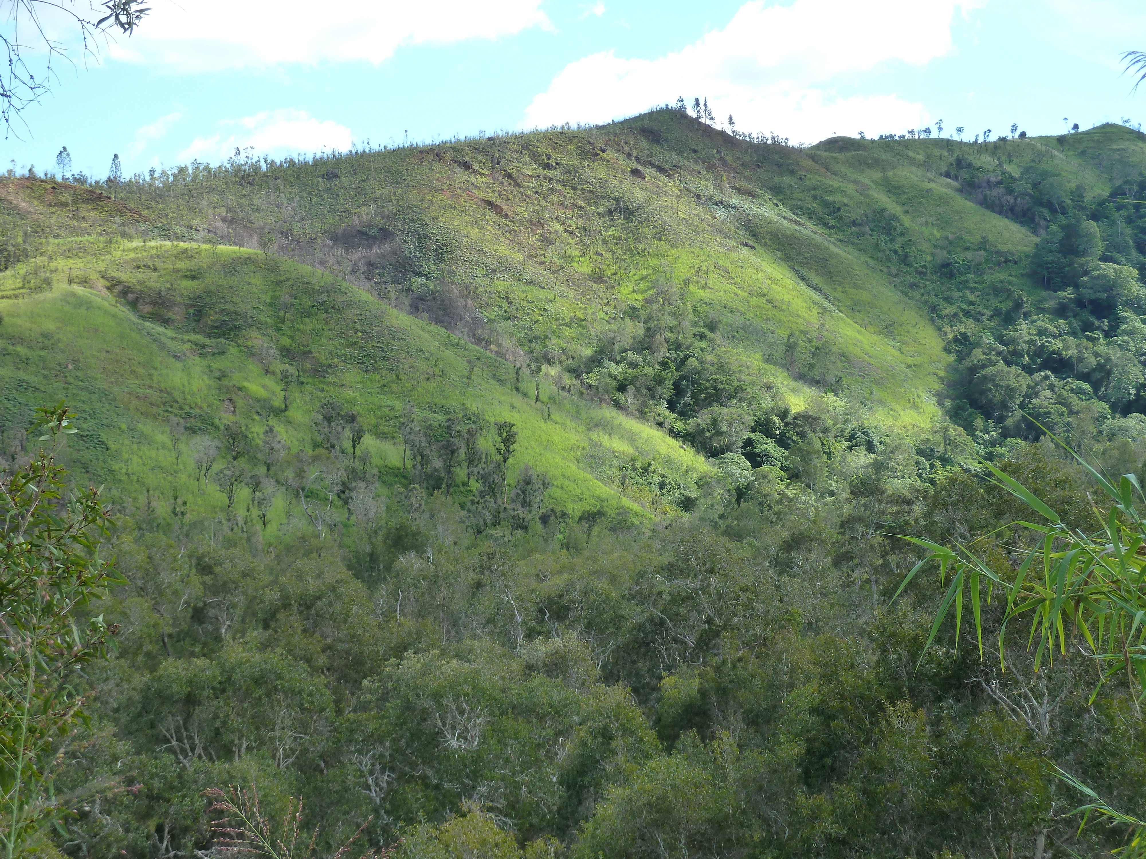 Picture New Caledonia Tontouta to Thio road 2010-05 93 - Center Tontouta to Thio road