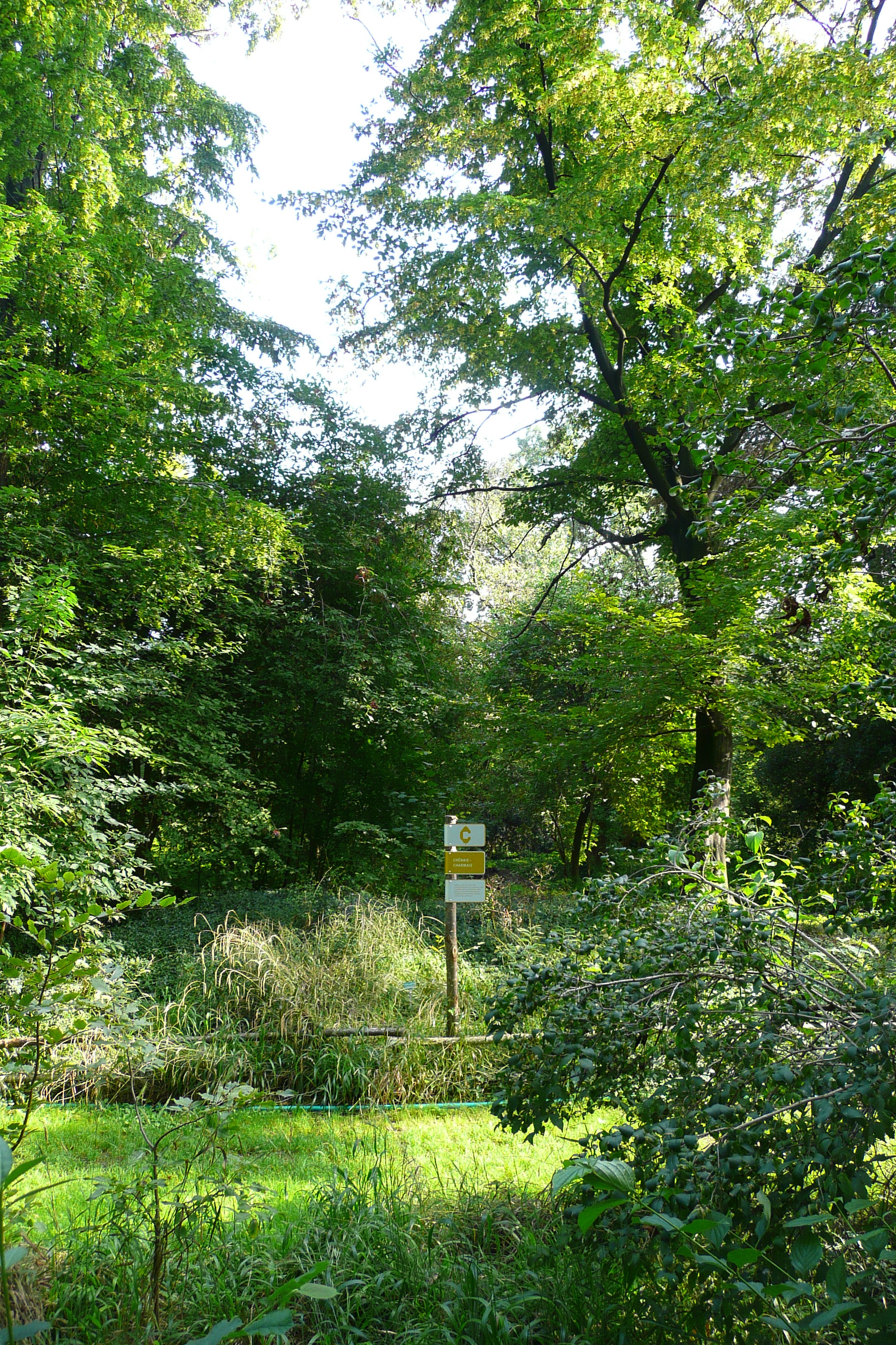 Picture France Paris Jardin des Plantes 2007-08 130 - Discovery Jardin des Plantes