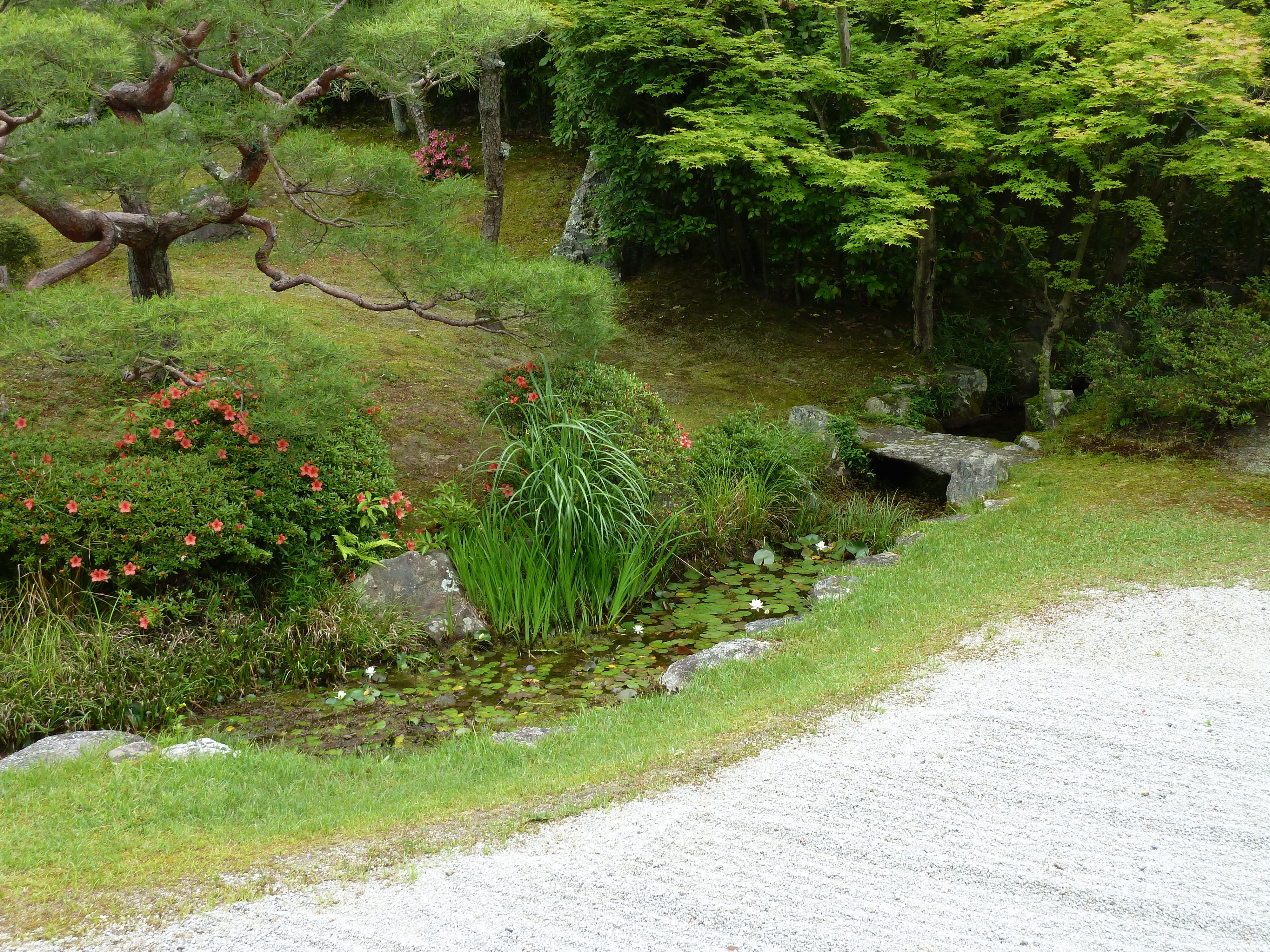 Picture Japan Kyoto Ninna ji imperial Residence 2010-06 40 - Tour Ninna ji imperial Residence