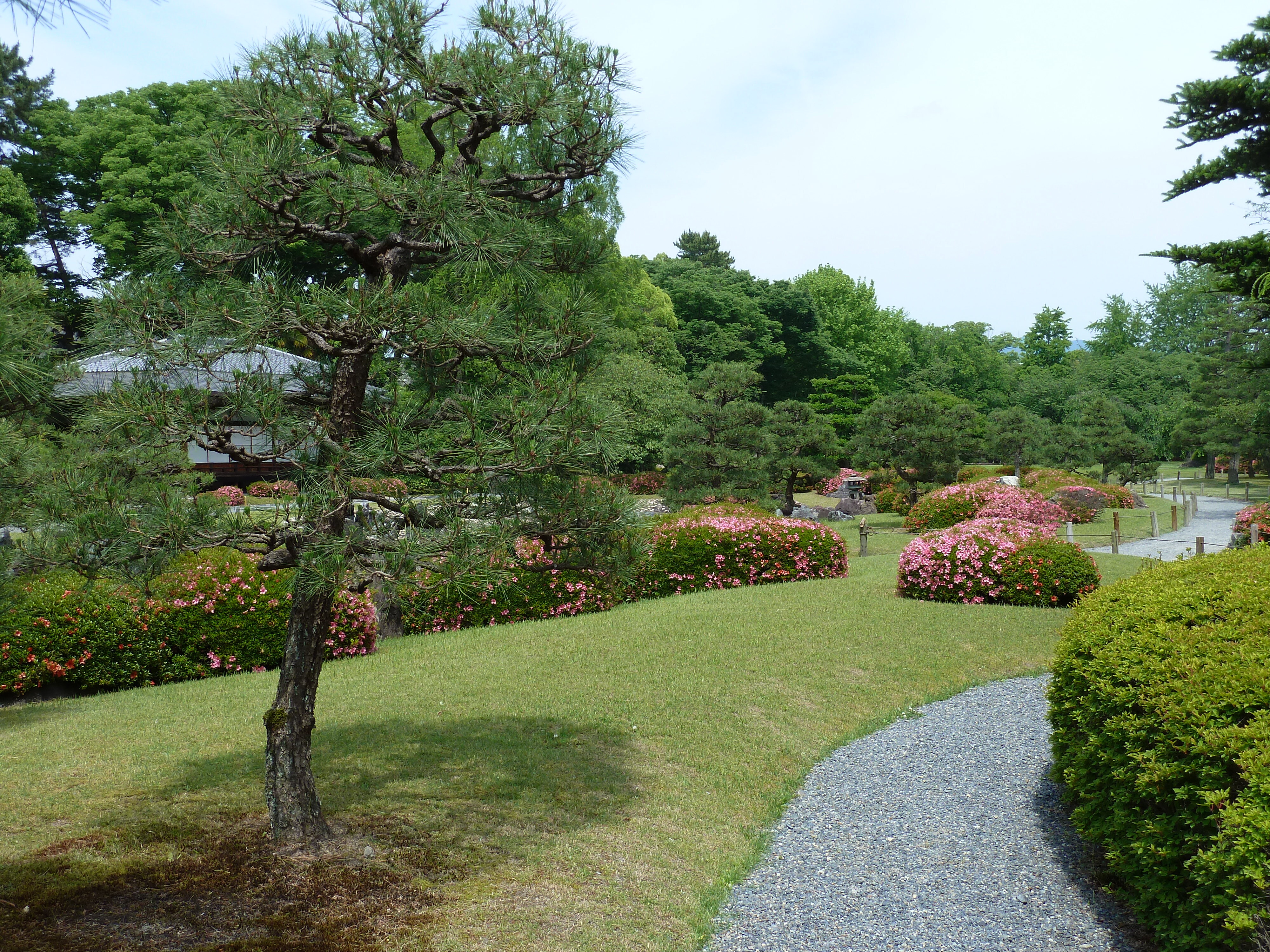 Picture Japan Kyoto Nijo Castle 2010-06 104 - Center Nijo Castle