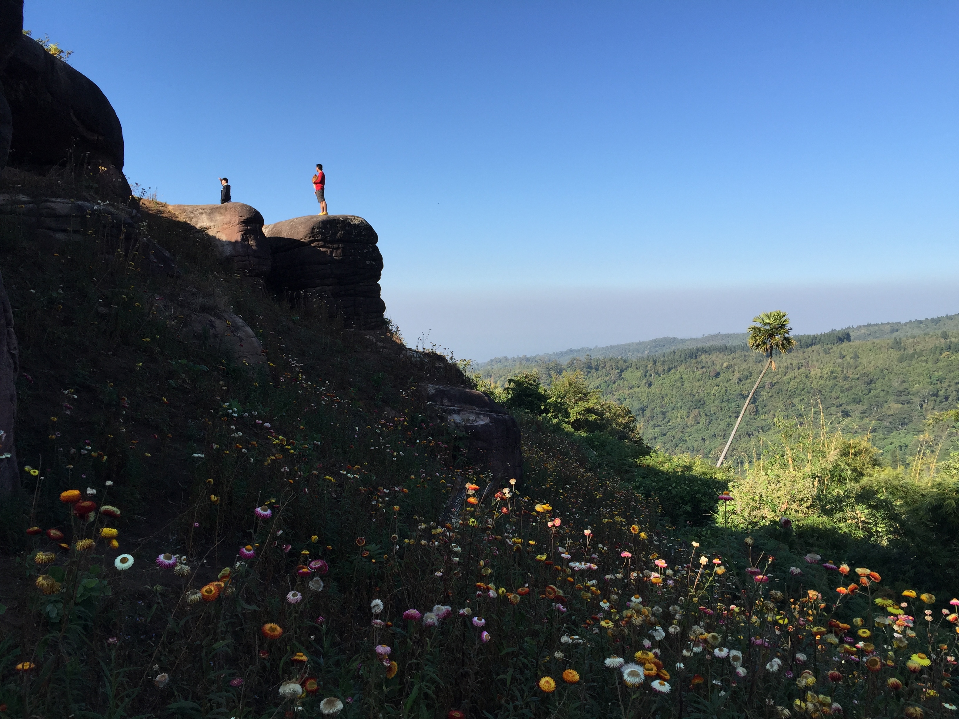 Picture Thailand Phu Hin Rong Kla National Park 2014-12 340 - Discovery Phu Hin Rong Kla National Park