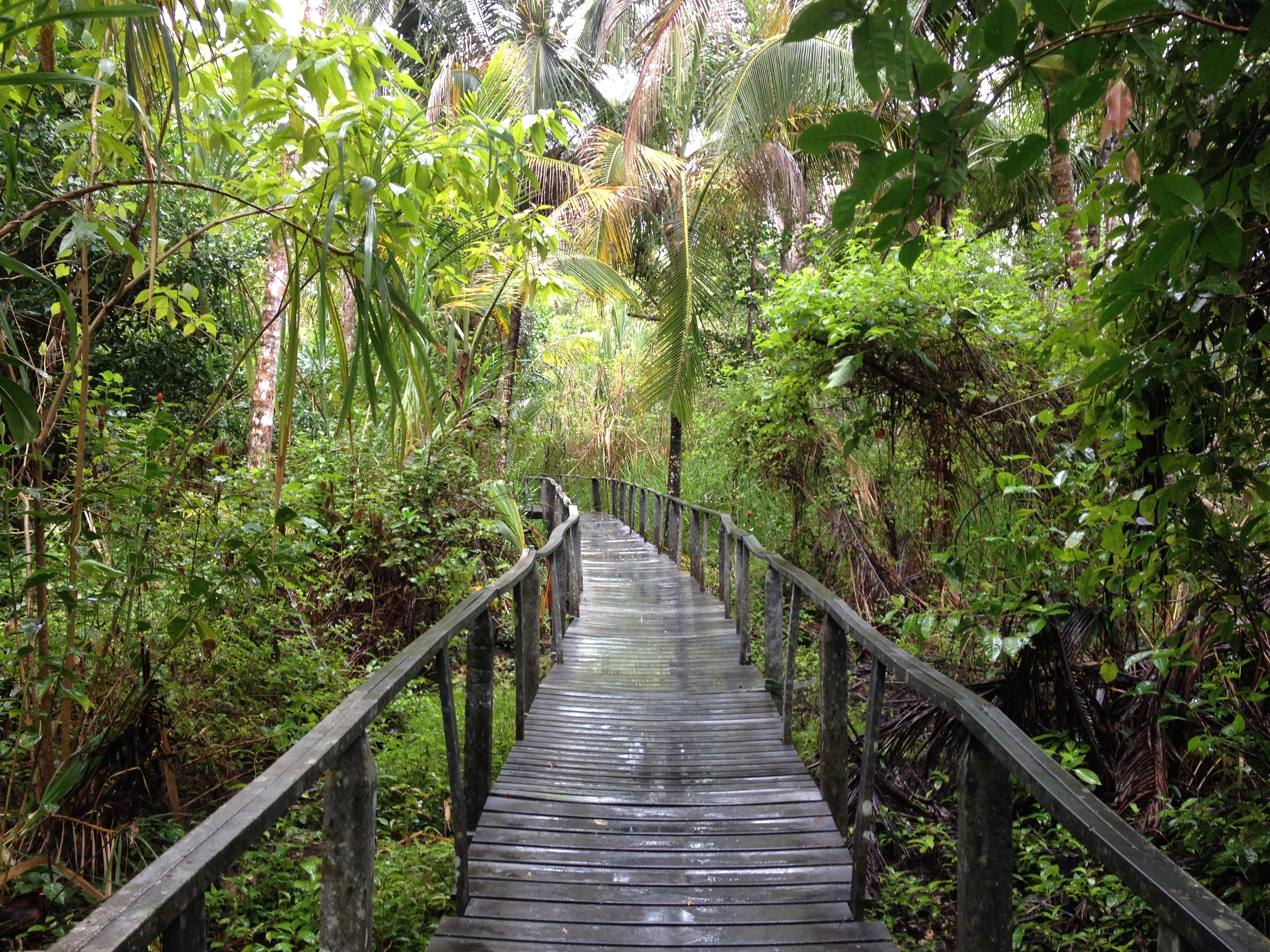 Picture Costa Rica Cahuita 2015-03 37 - History Cahuita