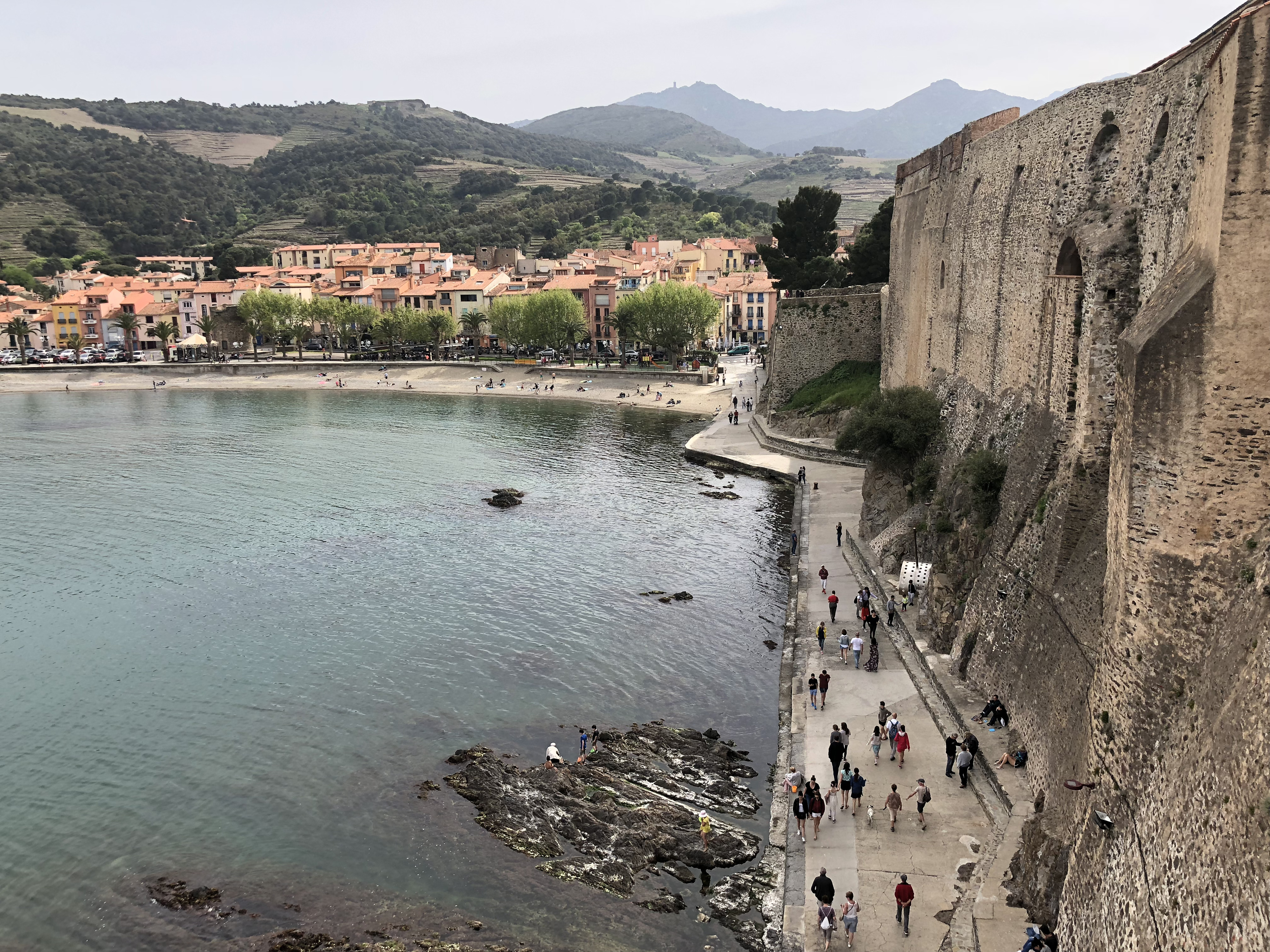 Picture France Collioure 2018-04 406 - Discovery Collioure