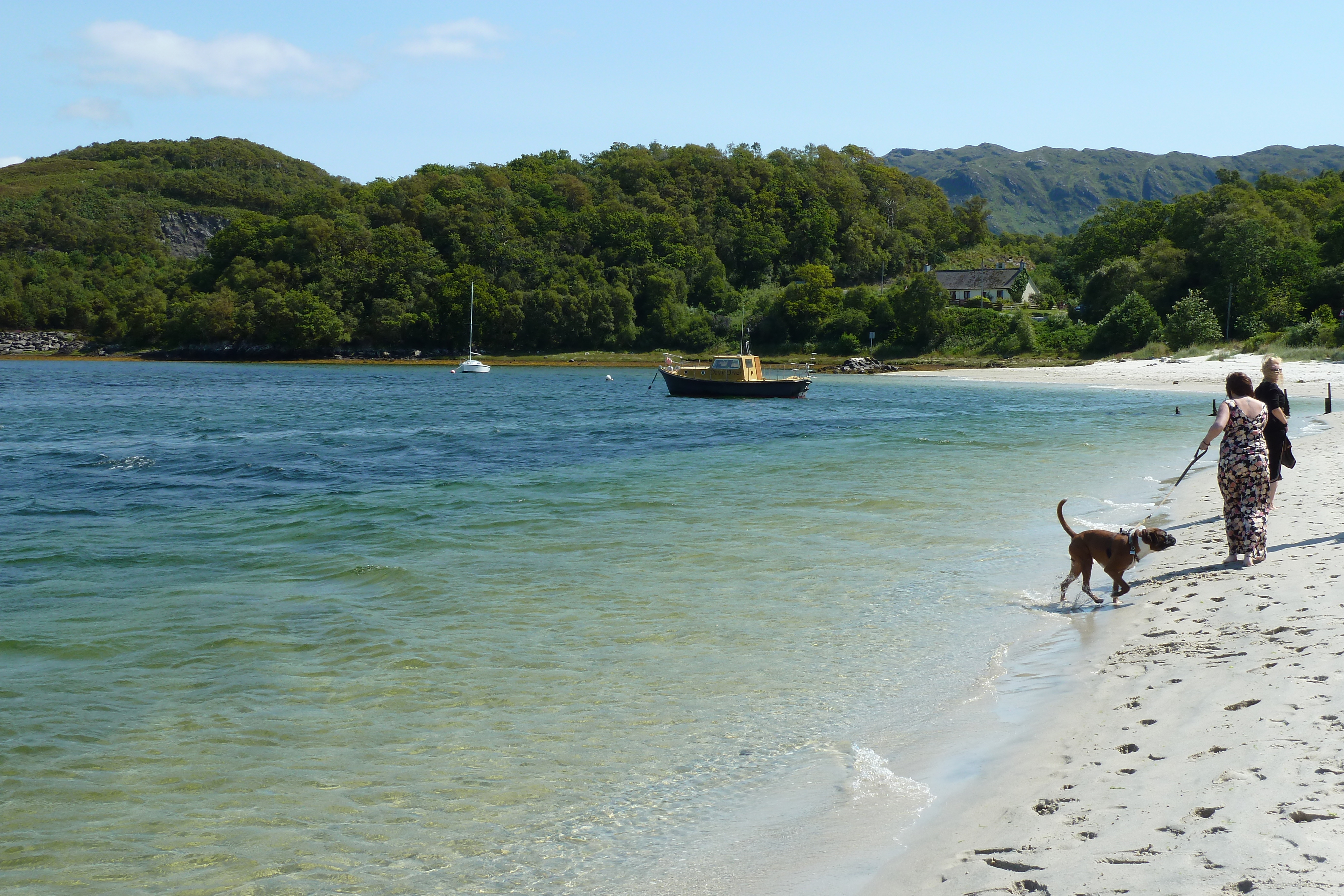 Picture United Kingdom Scotland Arisaig coast 2011-07 45 - Tours Arisaig coast