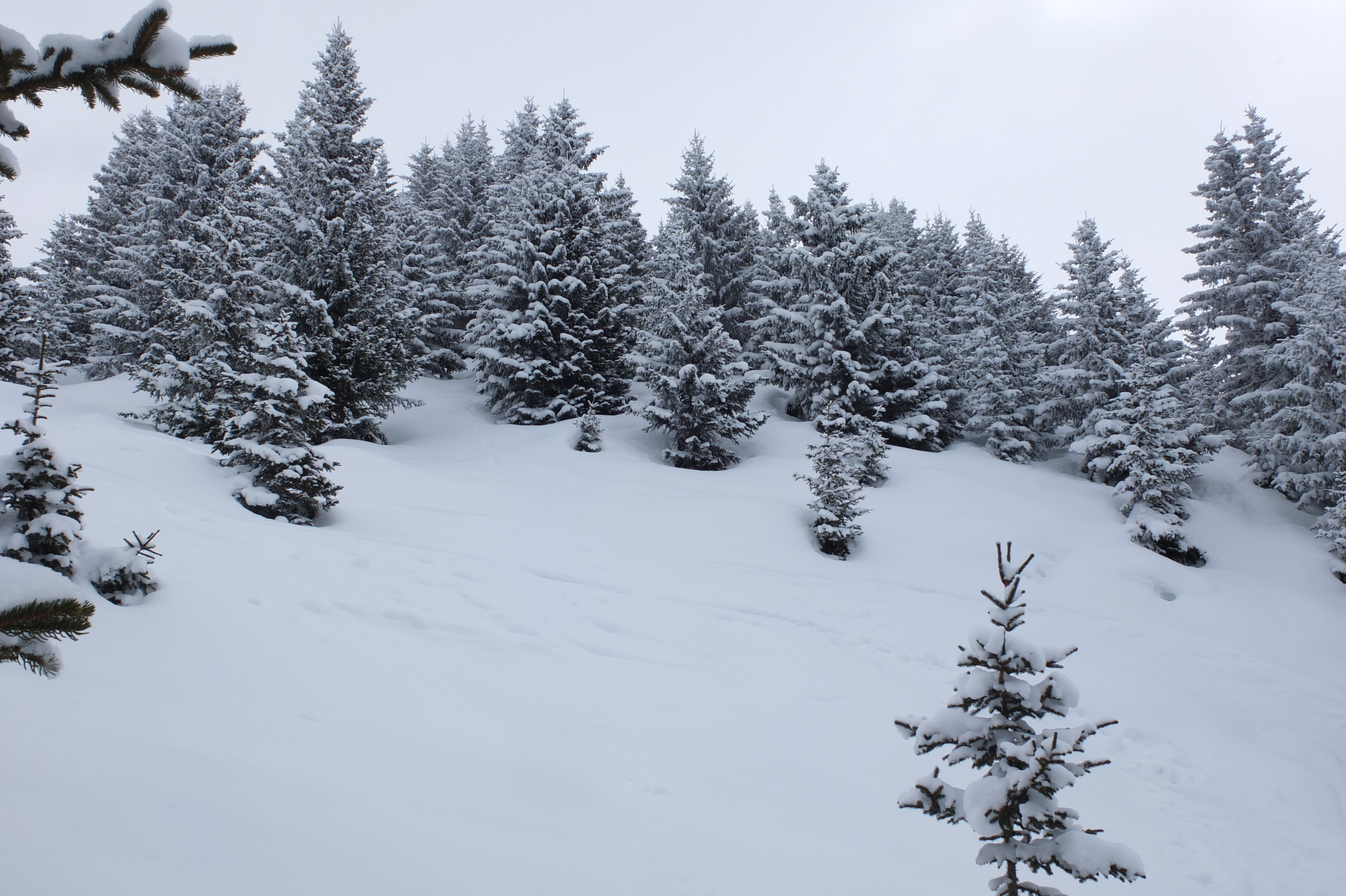 Picture France Les 3 Vallees 2013-03 277 - Tours Les 3 Vallees