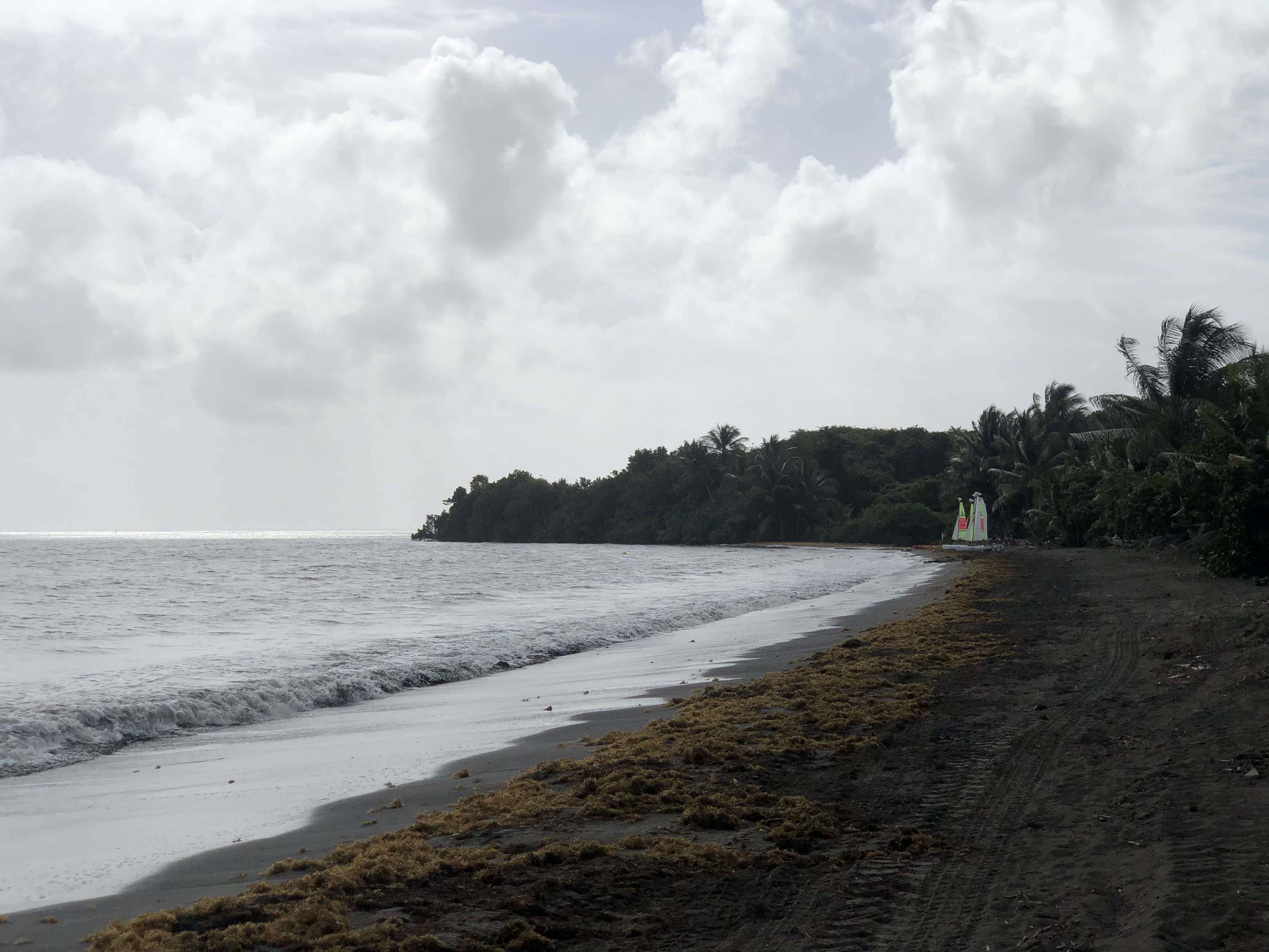 Picture Guadeloupe Viard Beach 2021-02 5 - Around Viard Beach