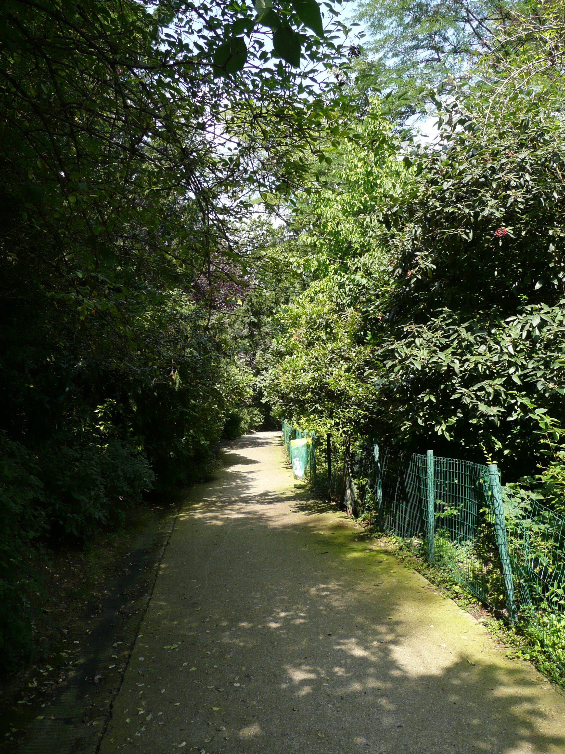 Picture France Paris Parc des Butes Chaumont 2007-08 127 - Tours Parc des Butes Chaumont