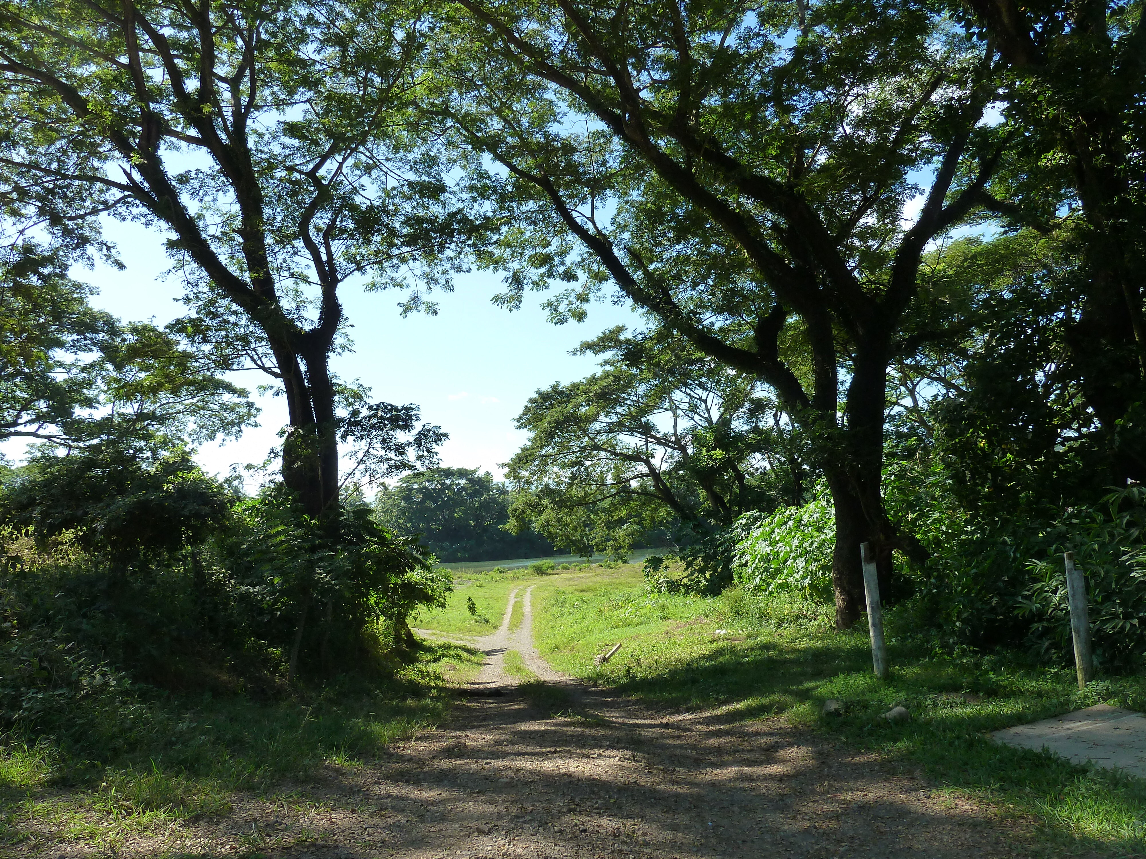 Picture Fiji Sigatoka river 2010-05 43 - Tours Sigatoka river